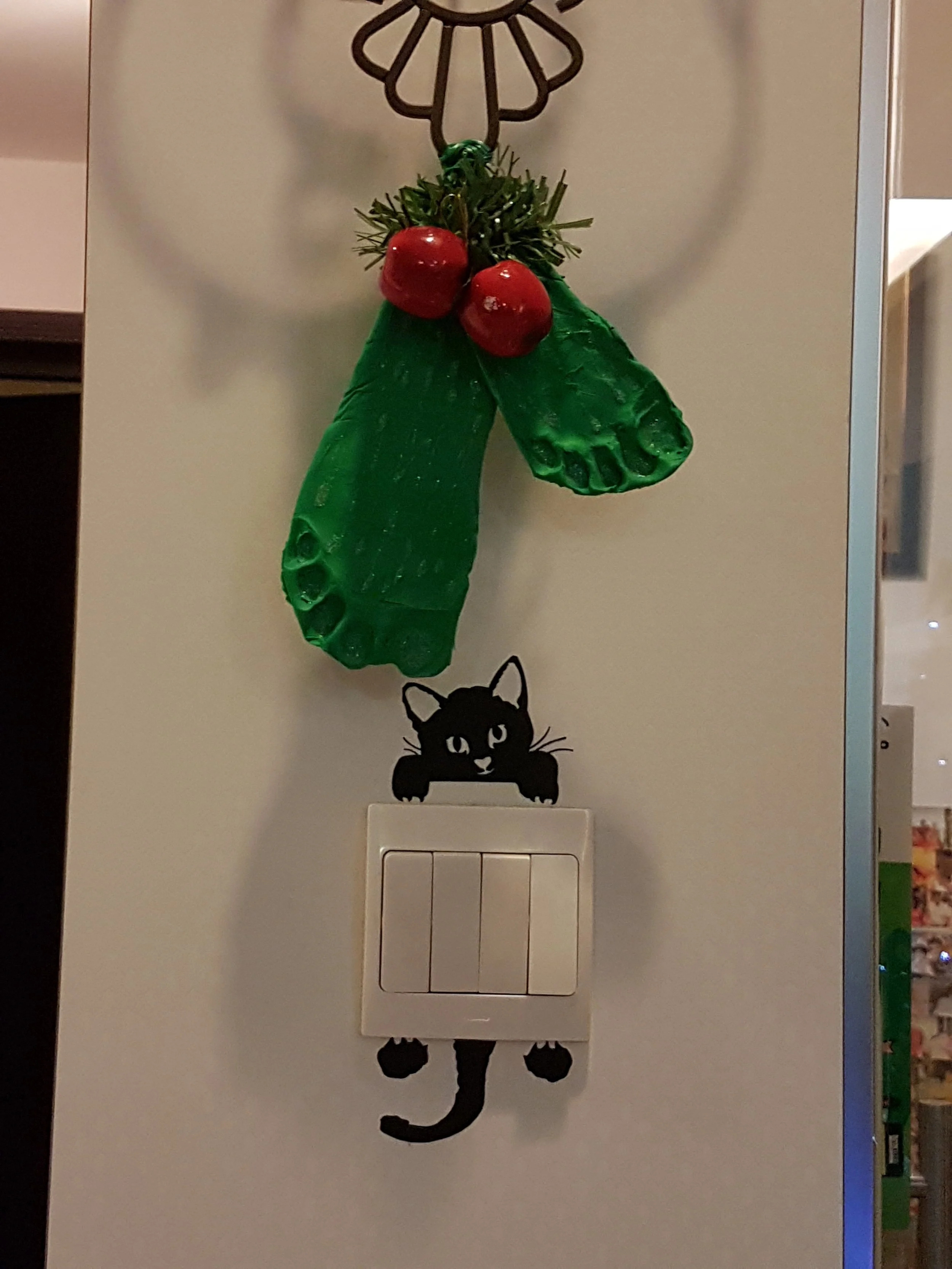 Copy of 20161209_235852.jpg