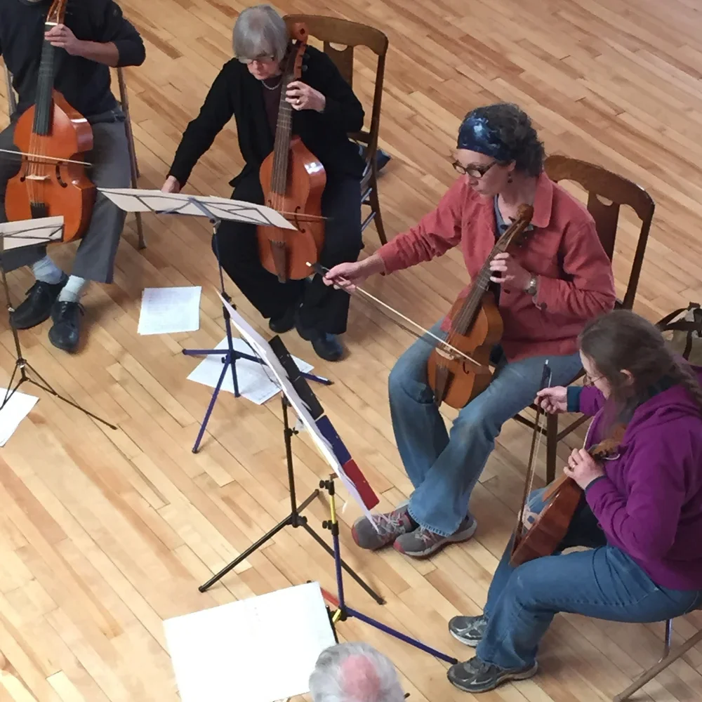 Adult Viola da Gamba Consort