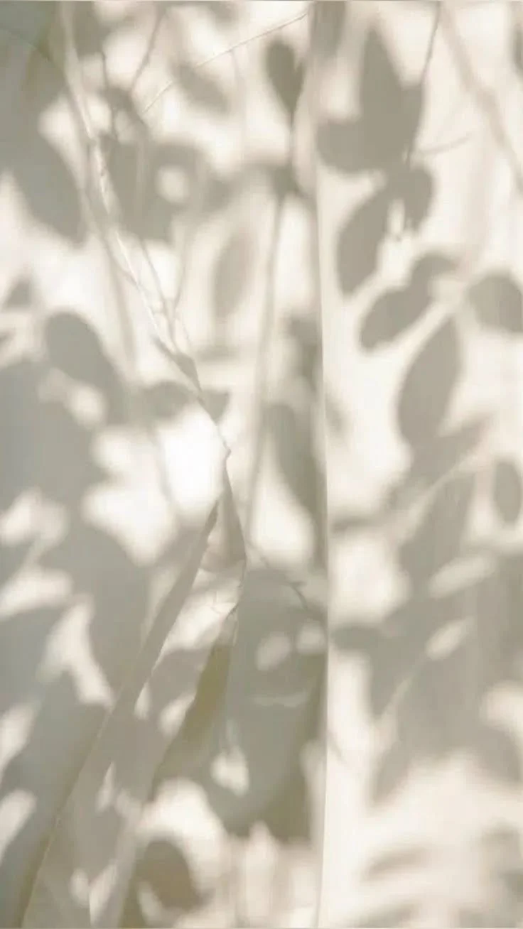 Shadows of leaves cast on a light-colored wall.