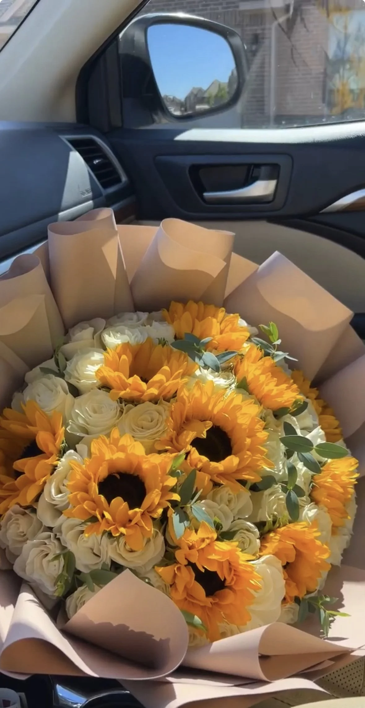 cox (Copy) (Copy) (Copy)