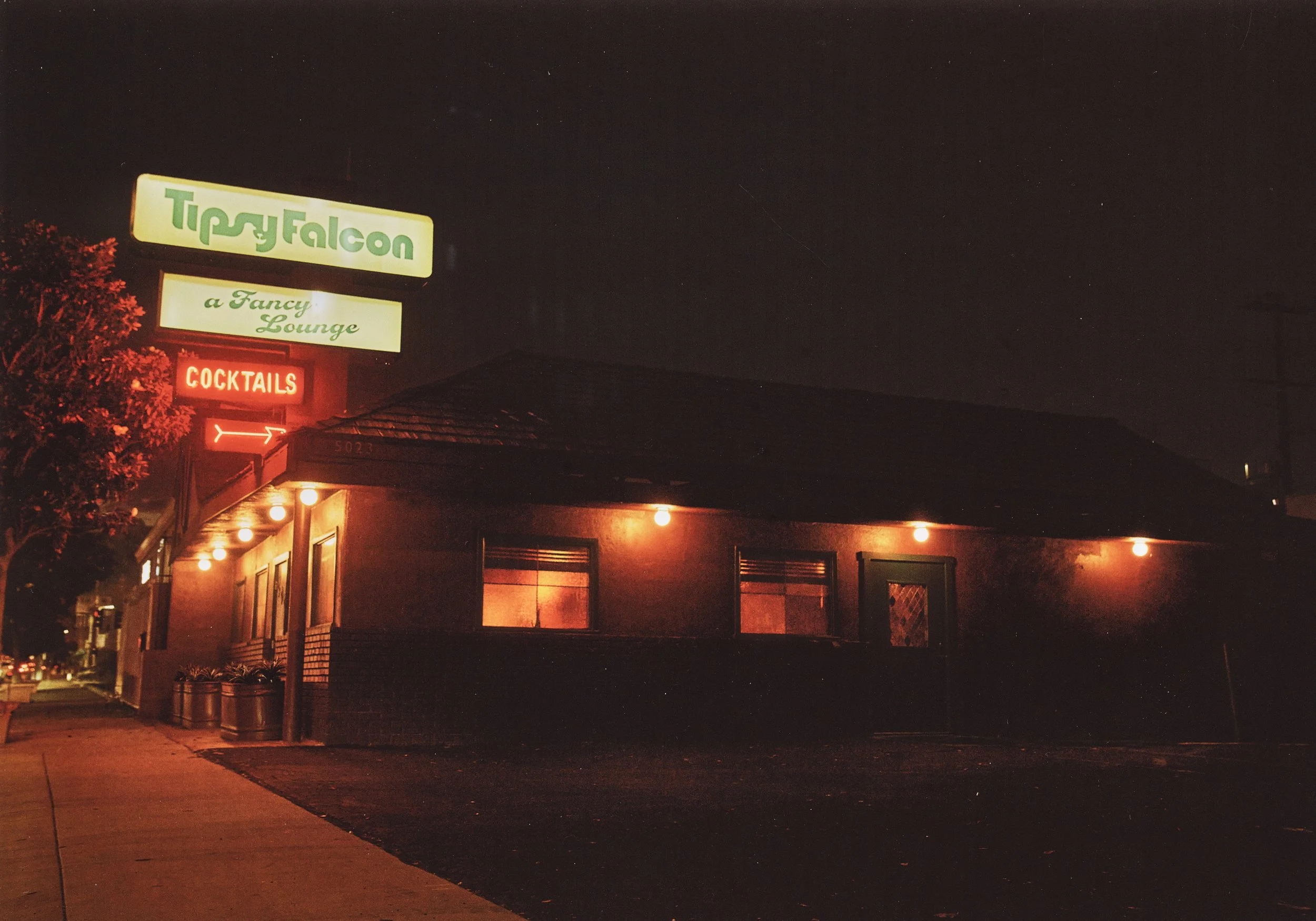 Tipsy Falcon Scans-1 (dragged)_small.jpg