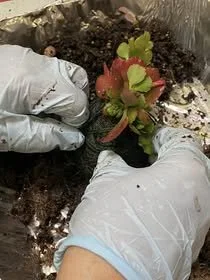 BWW Thursday Workshop