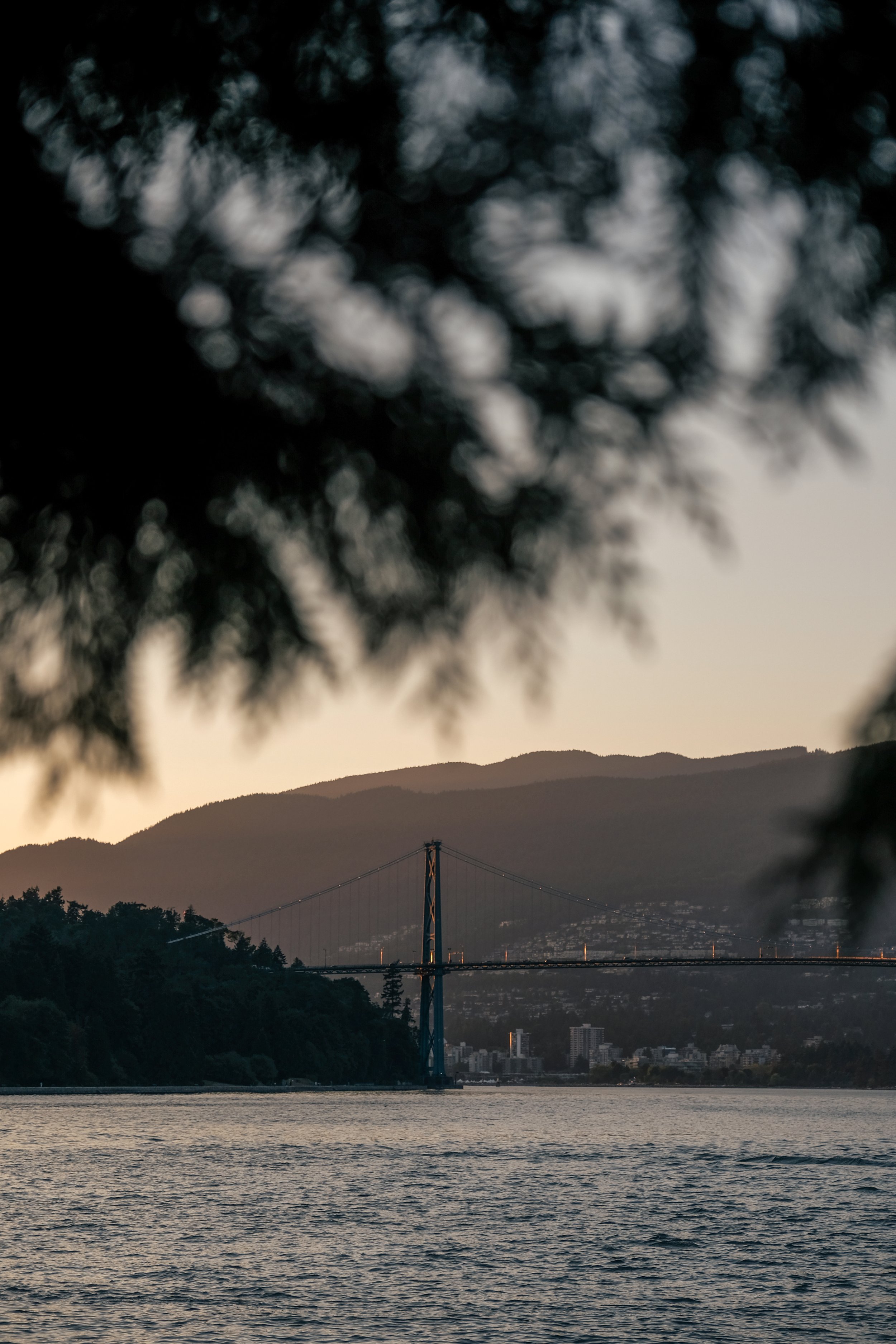 Seawall_KristaZerbin-21.jpg