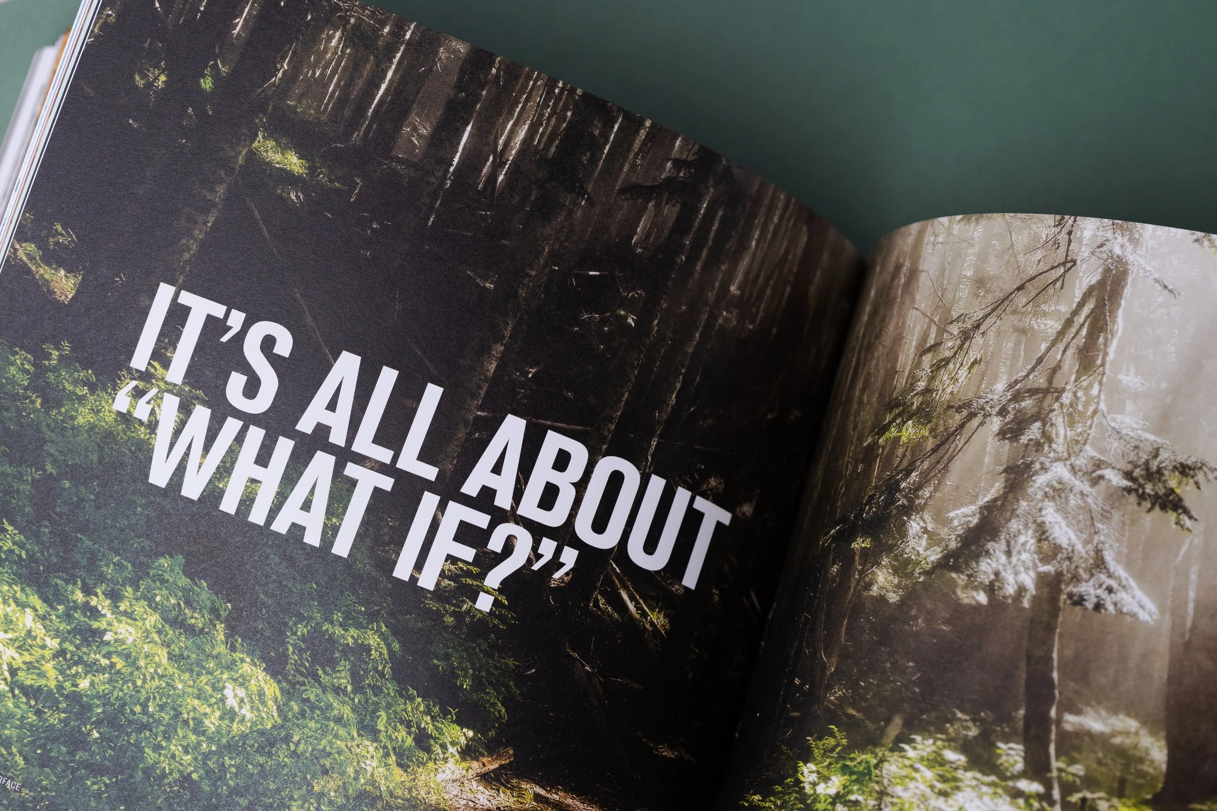 Open book with large white text that says 'IT'S ALL ABOUT 'WHAT IF?'' over a forest scenery with sunlight filtering through trees.