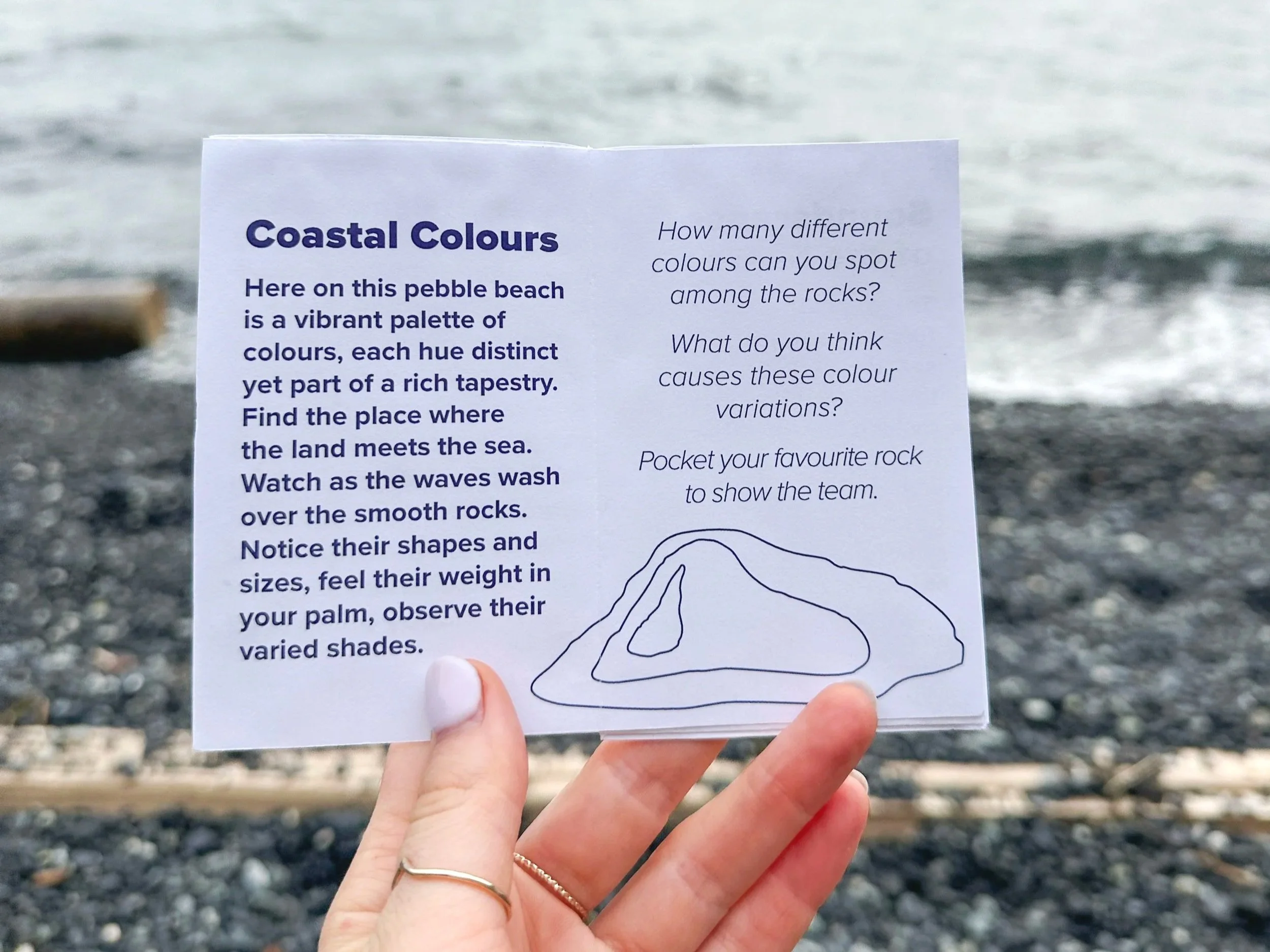 Studies in Noticing Zine