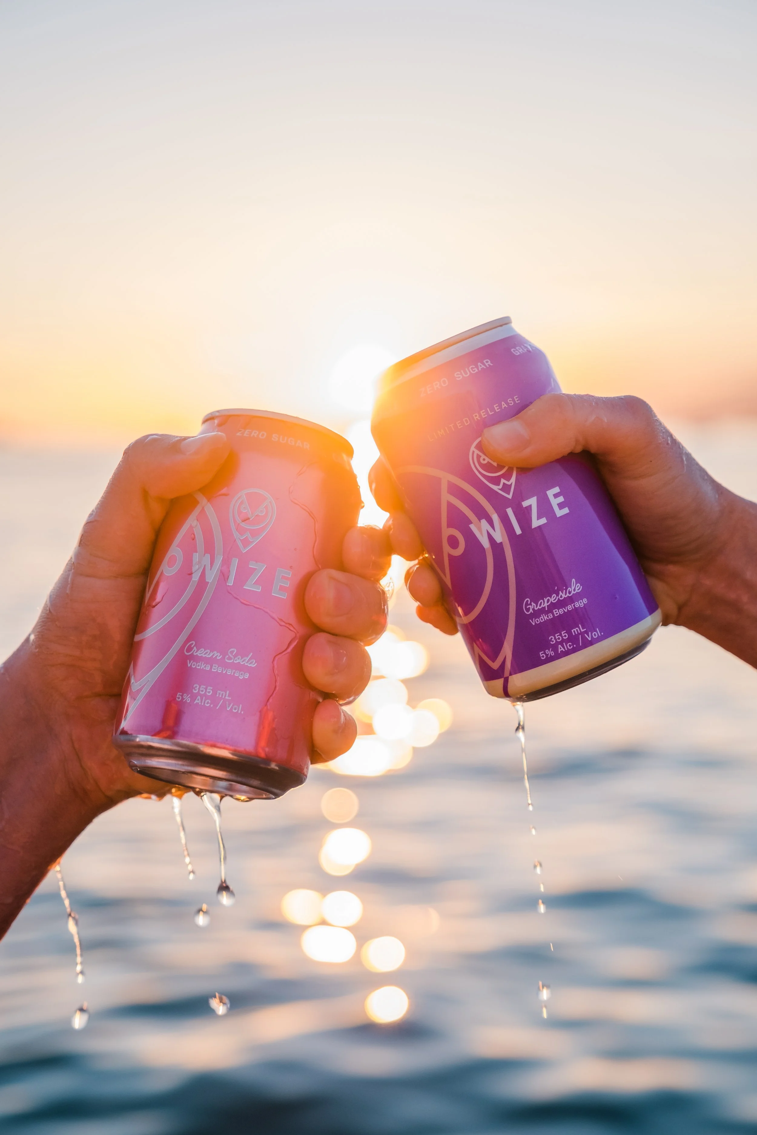 Wize Spirits | Brand