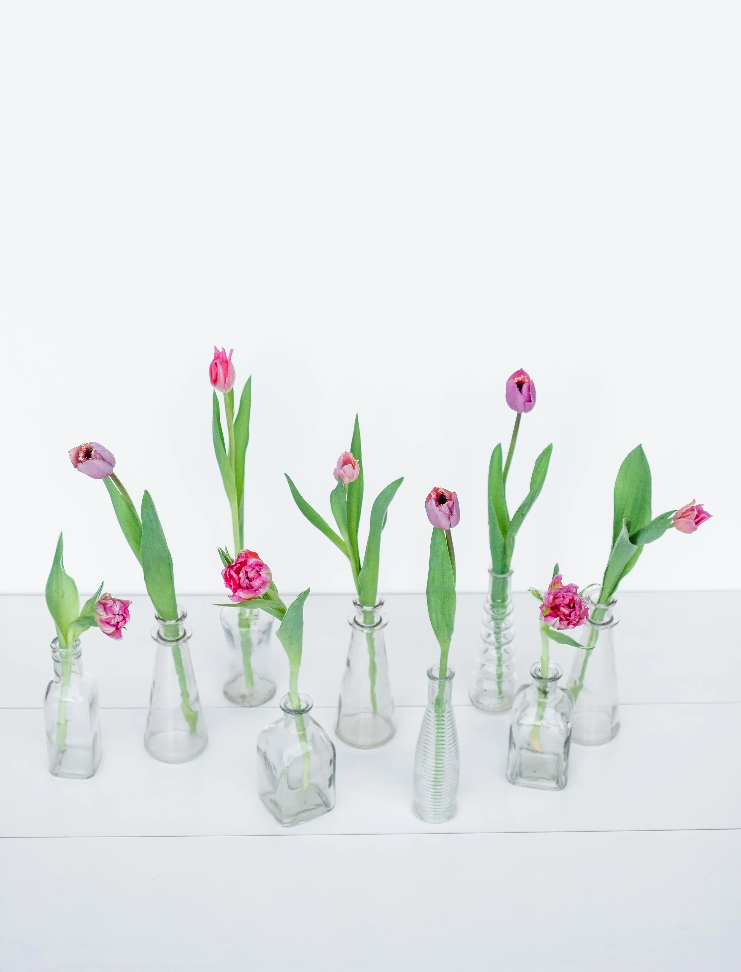 Tulips55.jpg