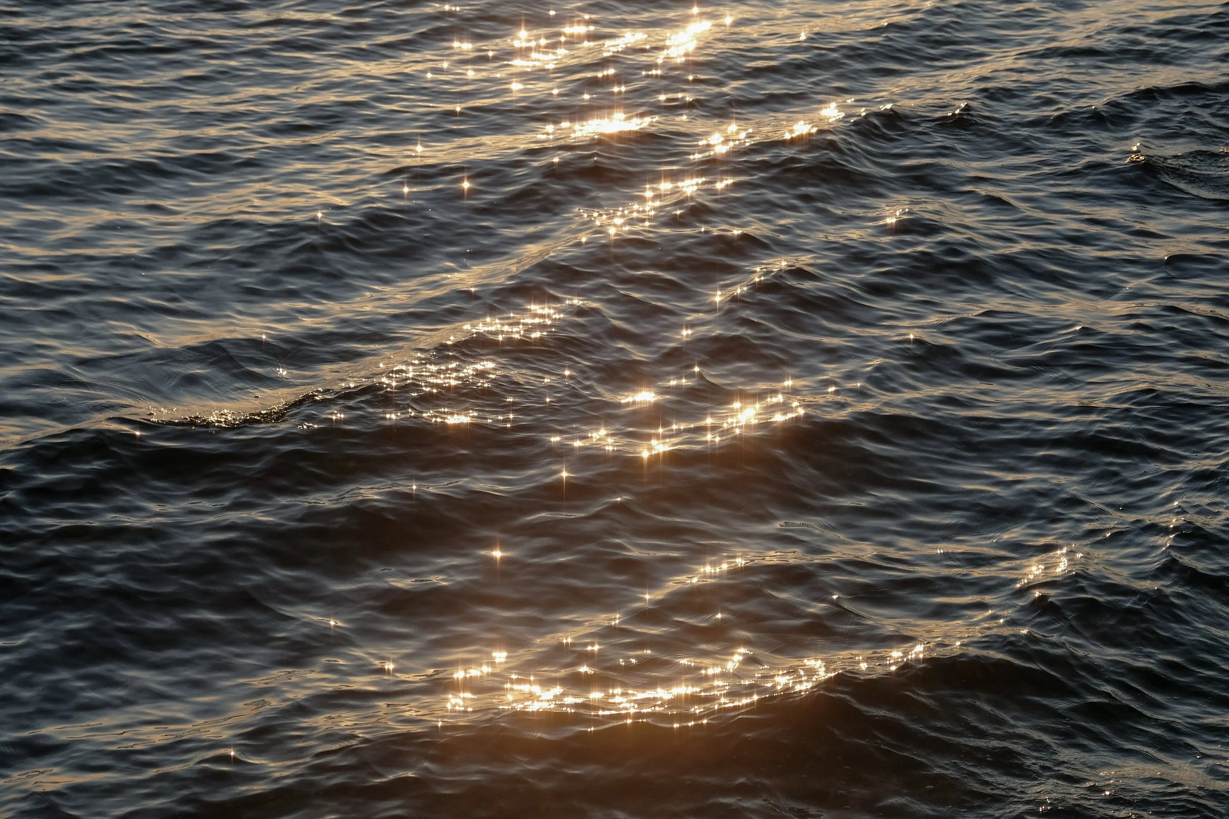 Seawall_KristaZerbin-11.jpg