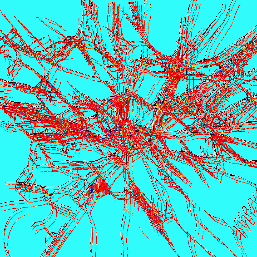 IMG_5492.png