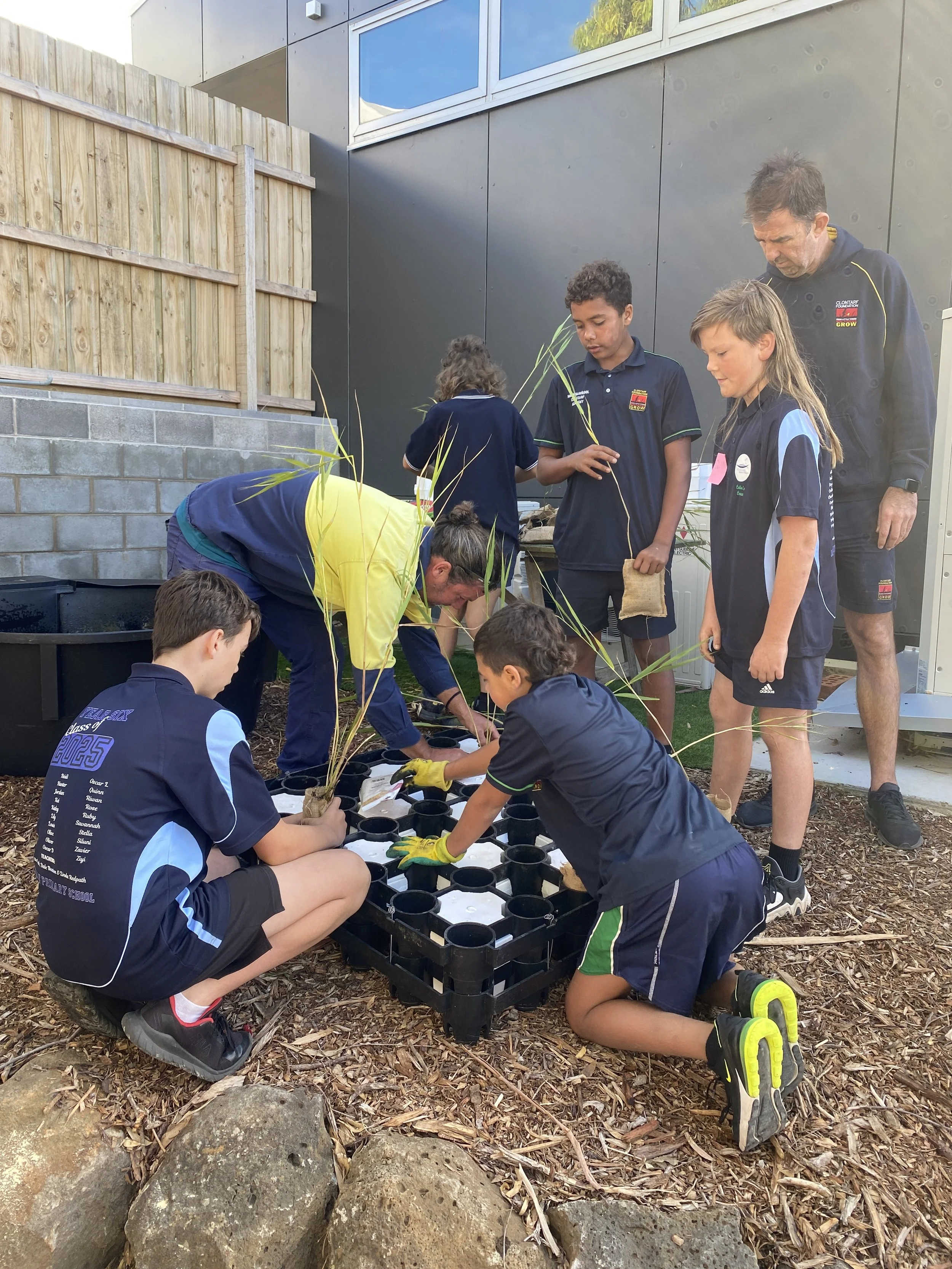 Students and adults planting grasses in black pots during a school gardening activity.
