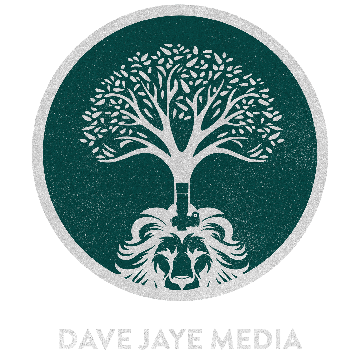 DAVE JAYE MEDIA