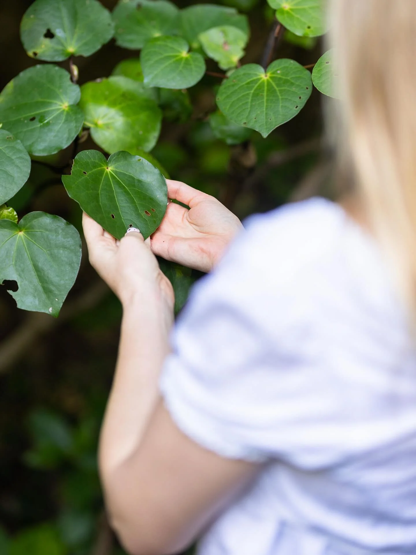 Hello Friends! 

I&rsquo;ve been a little MIA on here the last few weeks as I&rsquo;m currently in the process of moving my life to the UK. I&rsquo;ve sold most of what I own, put the rest into storage &amp; have said my goodbyes to the place I&rsquo