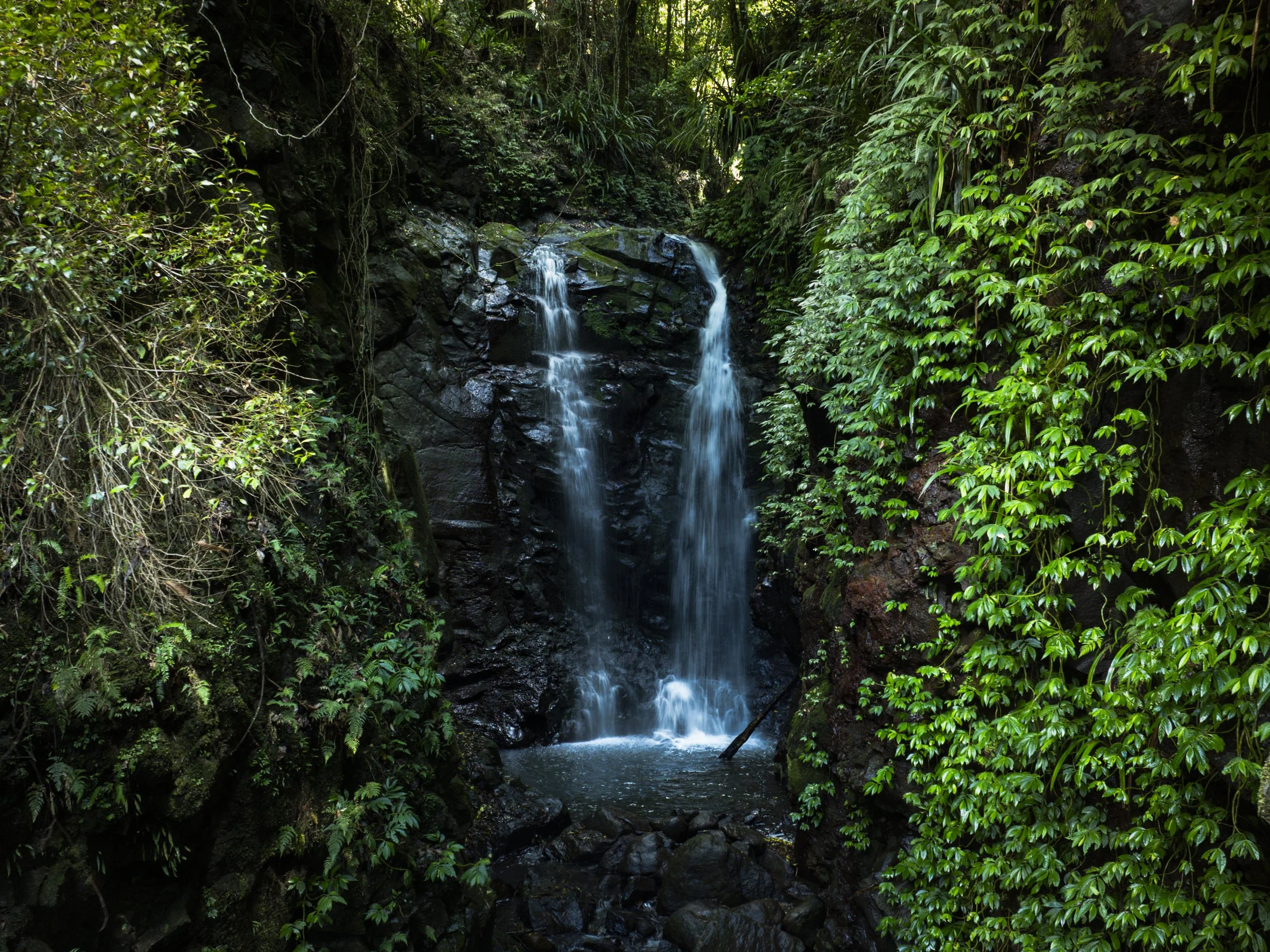 Waterfall at Oreilly.jpg