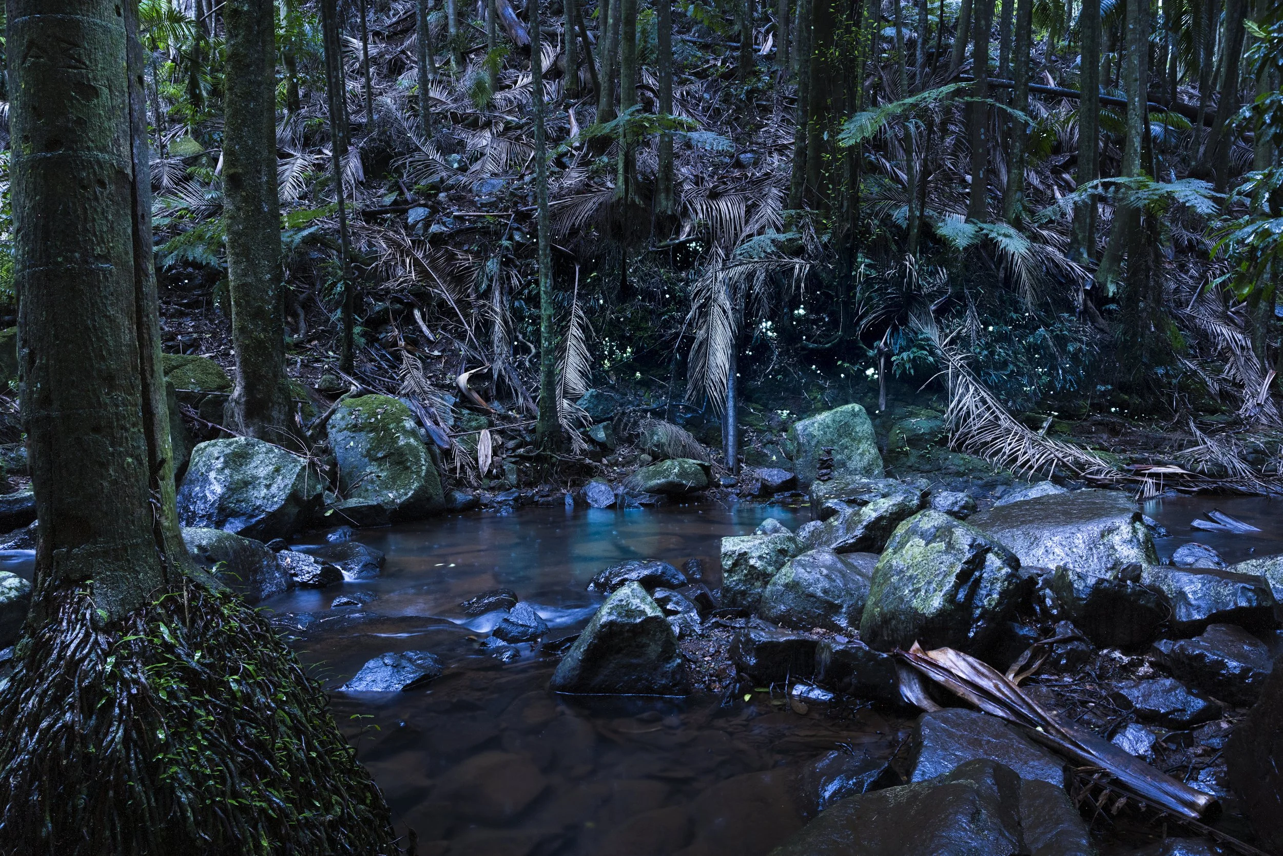Glow Worm Creek.jpg