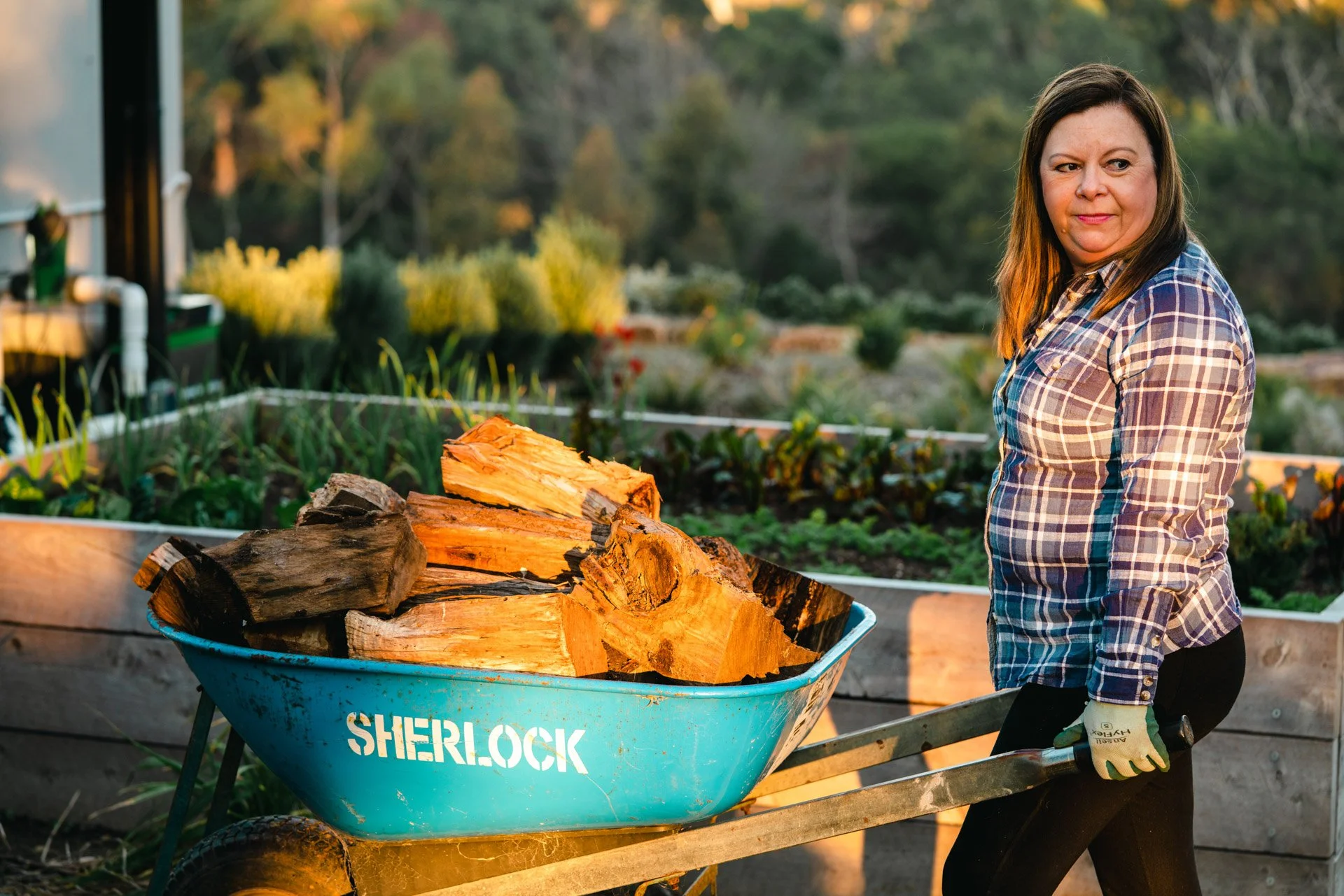 A woman with brown hair wearing a plaid shirt and gardening gloves pushes a blue wheelbarrow filled with cut firewood in a garden during sunset.