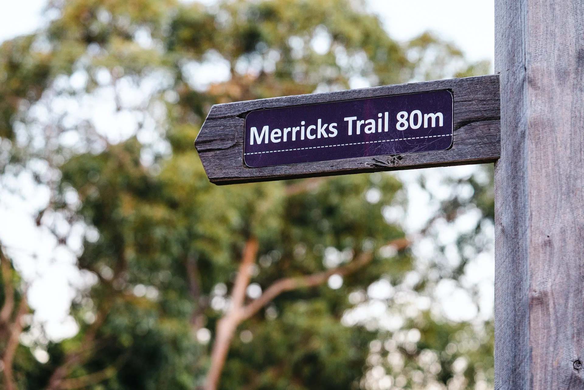 A wooden trail sign that reads 'Merricks Trail 80m' with a background of blurred green trees.