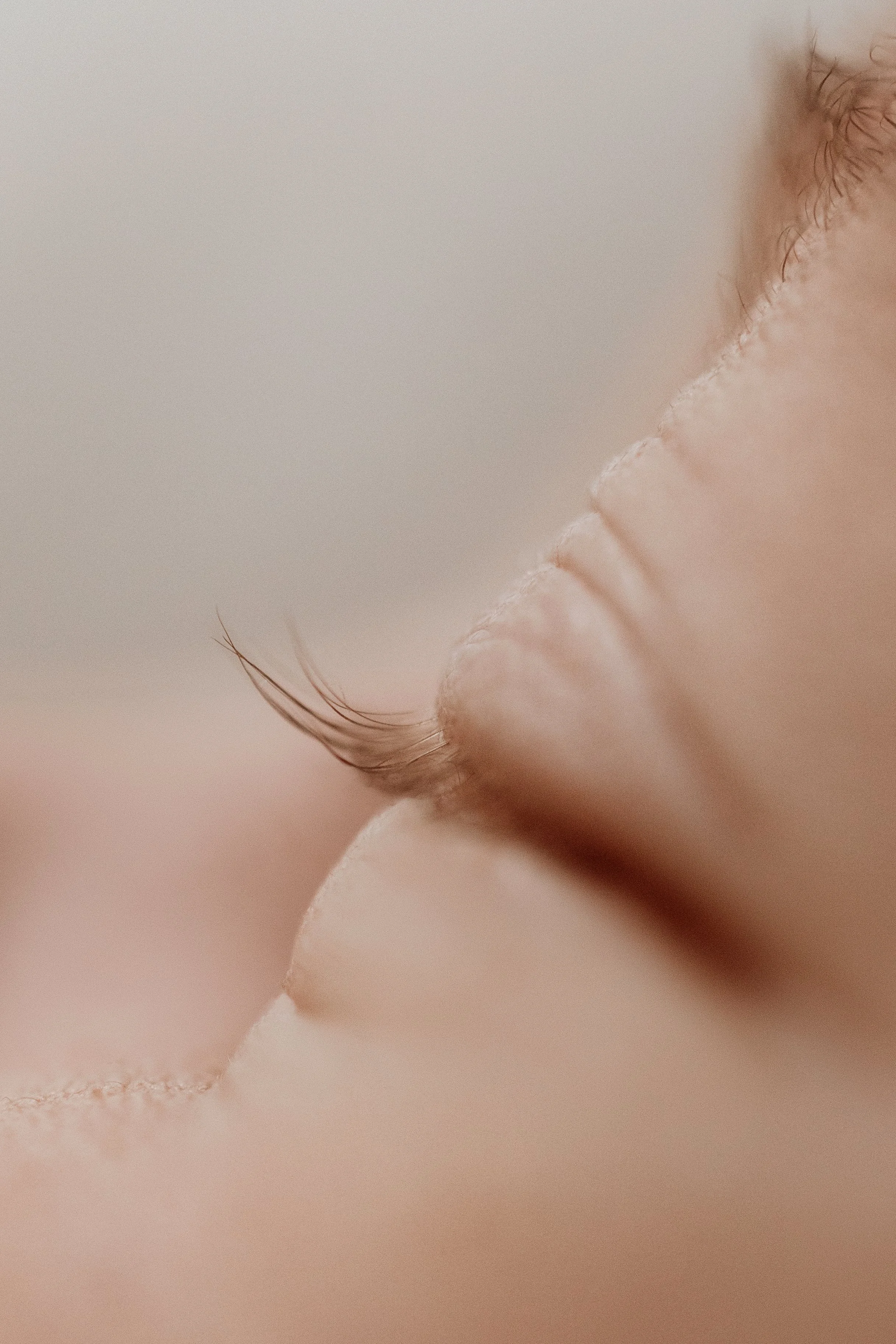 Close-up of a person's closed eyes and eyelashes with soft, natural lighting.