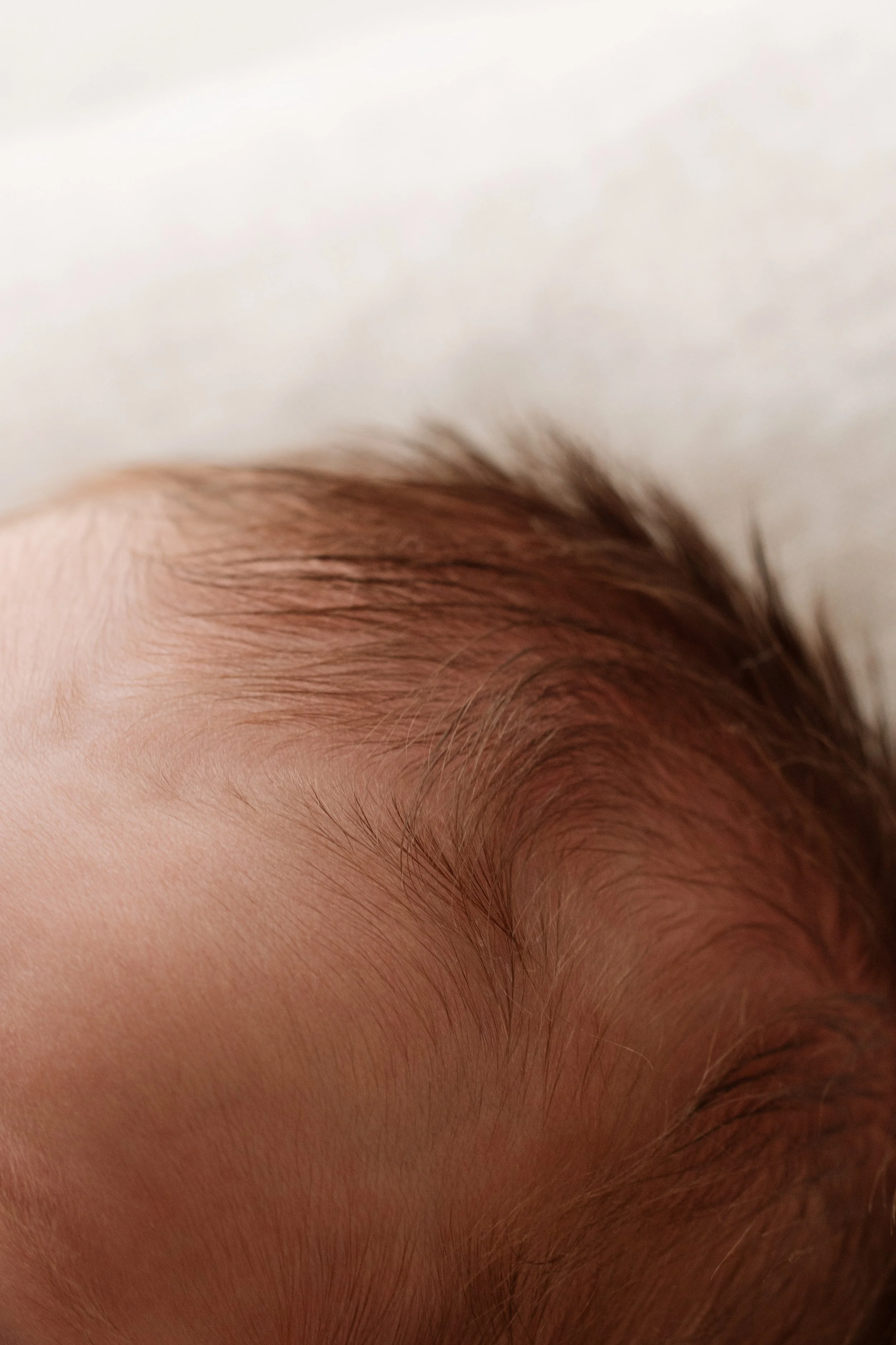 Close-up of a person's forehead and hairline with light brown hair, showing fine hair strands and skin texture.