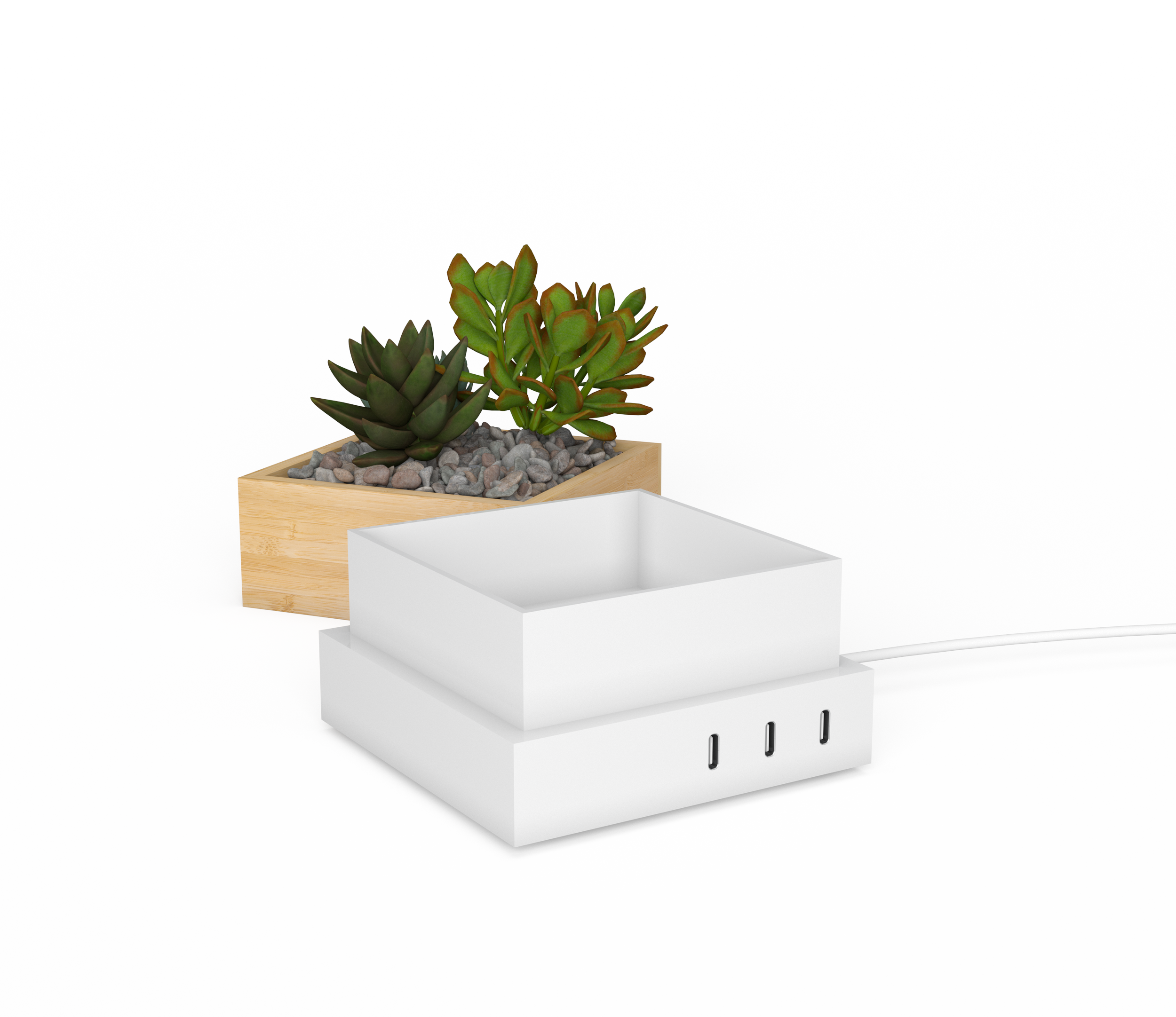 Charging_Base_Succulent_02_Render_12_11_24 copy.png