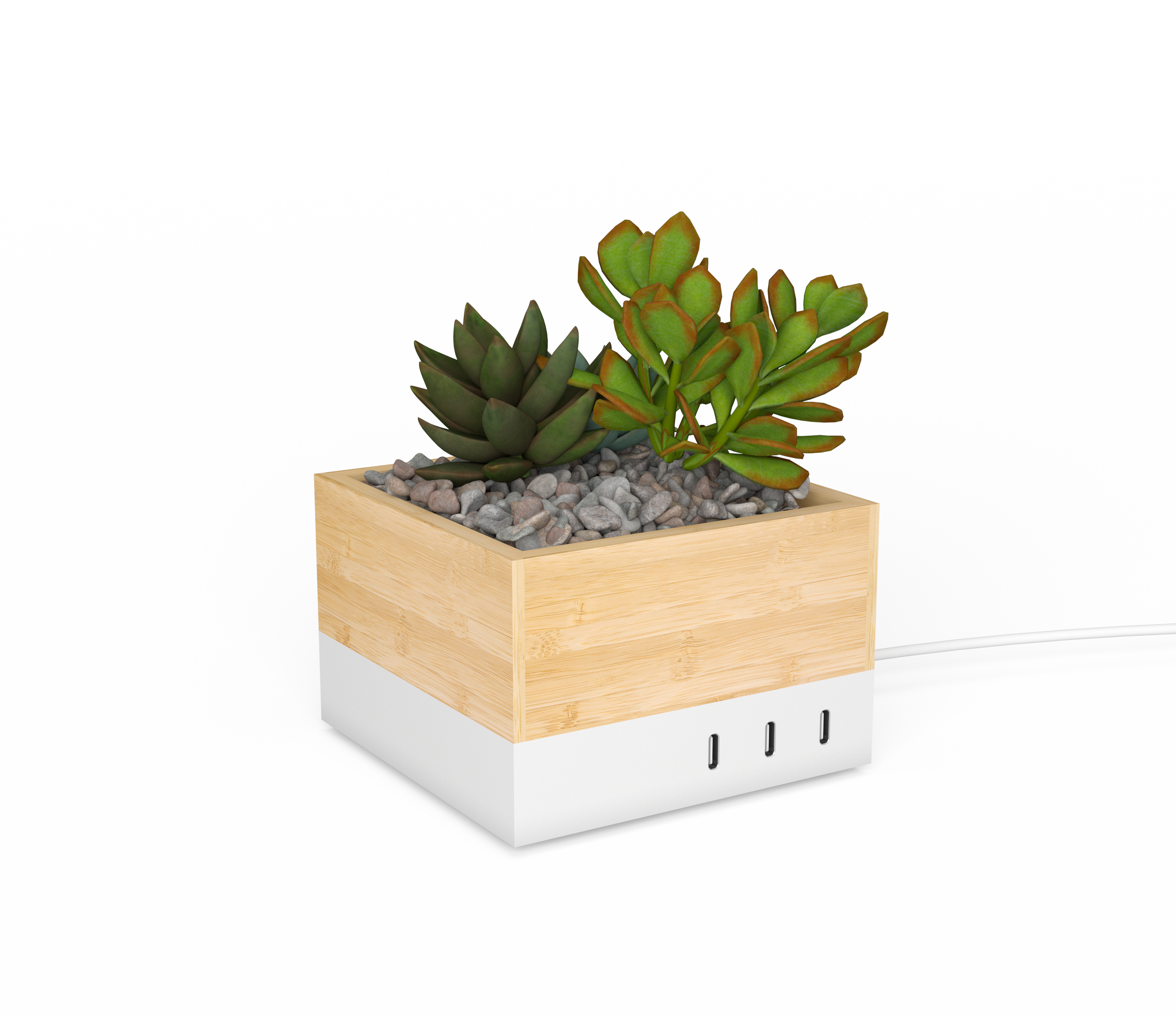 Charging_Base_Succulent_01_Render_12_11_24 copy.png