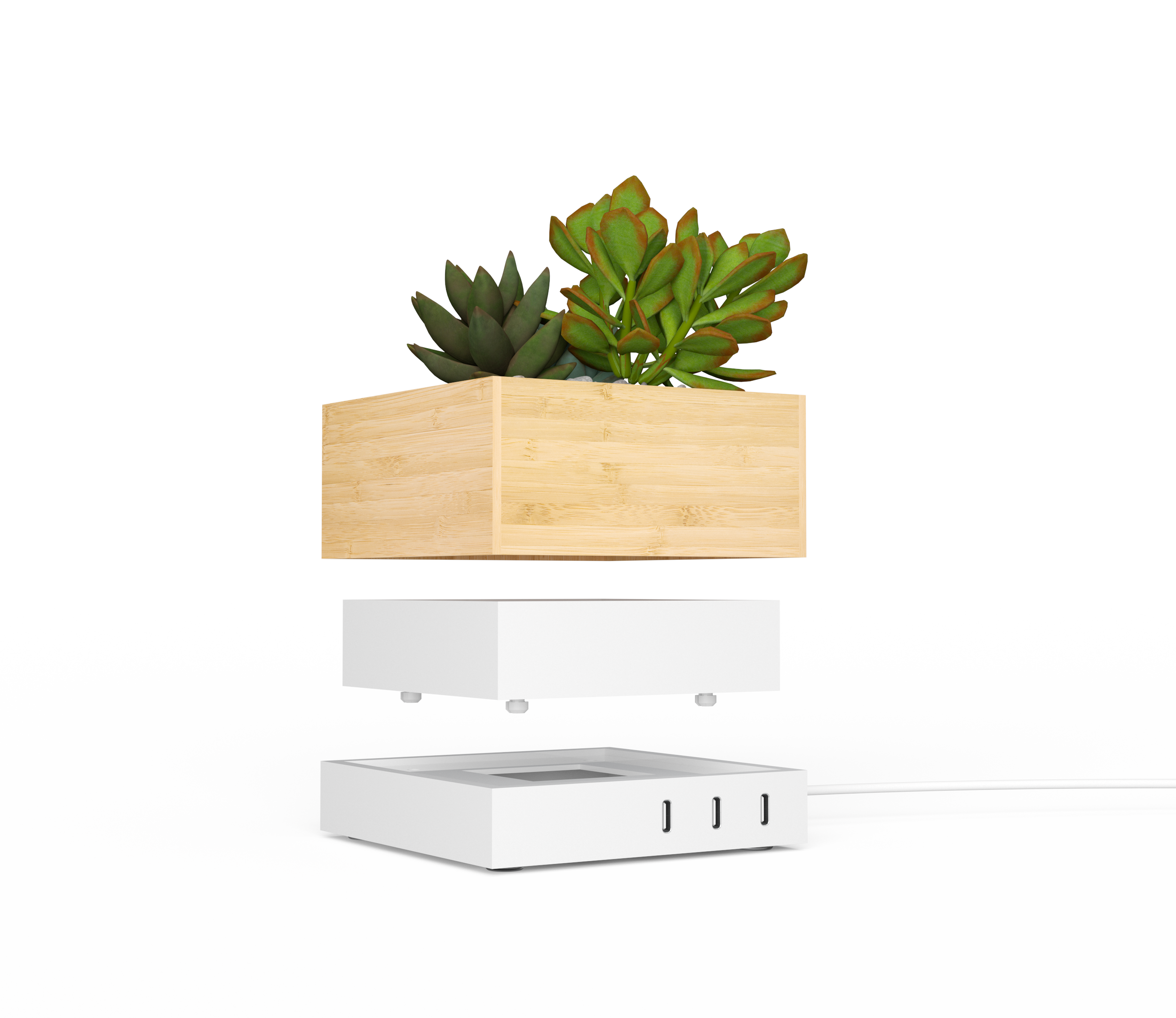 Charging_Base_Succulent.png