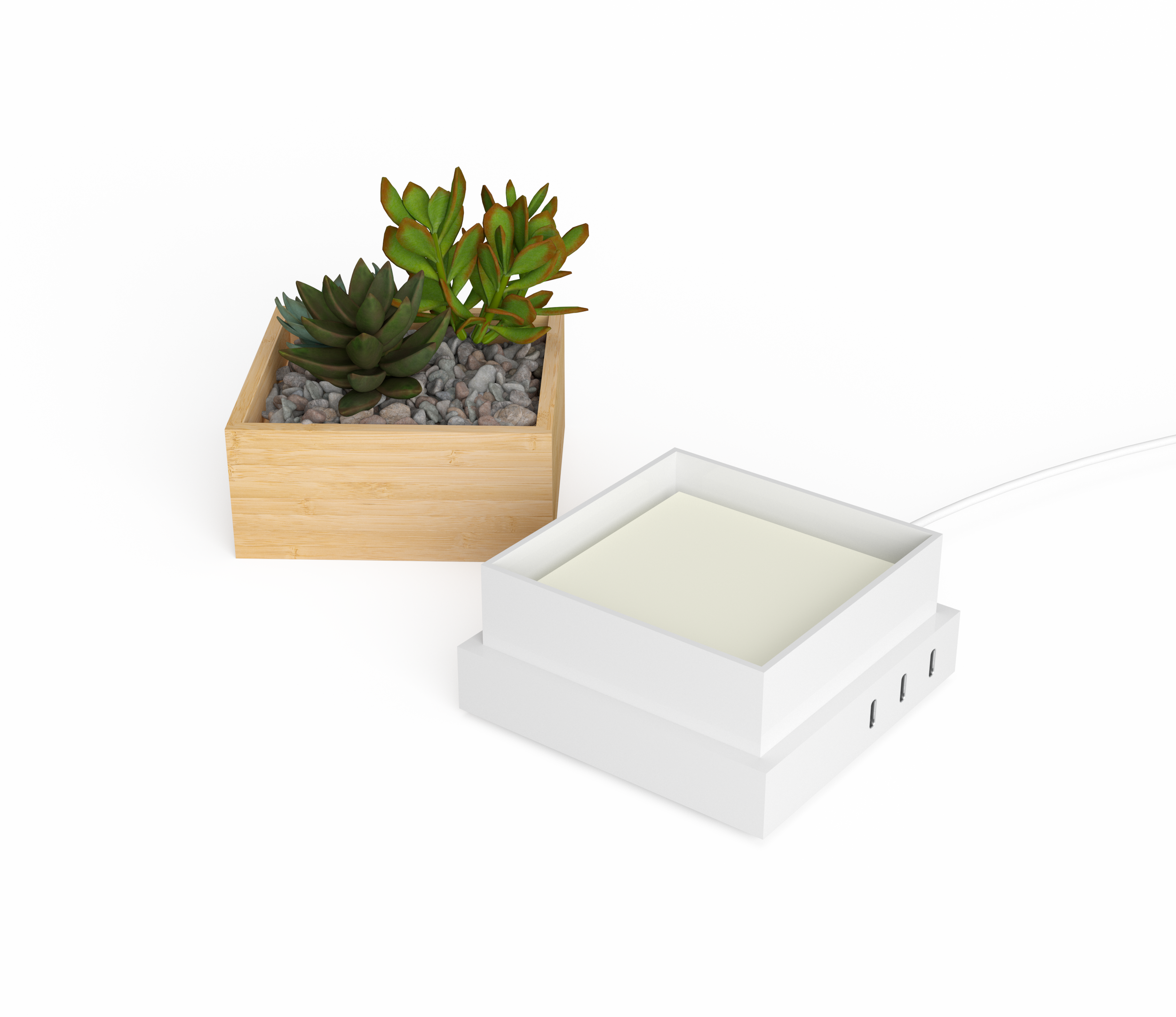 Charging_Base_Succulent_assembled_inuse.png