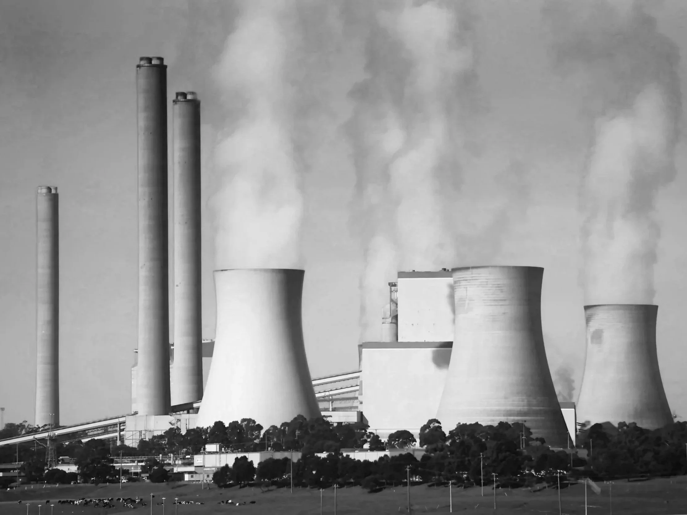 2025: Das Jahr, in dem Photovoltaik die Braunkohle überholte