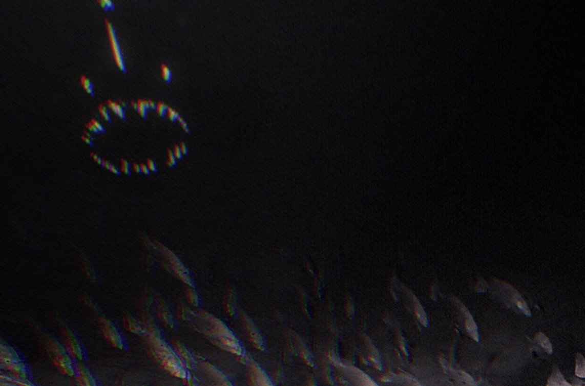 Screenshot 2025-10-15 155501.jpg