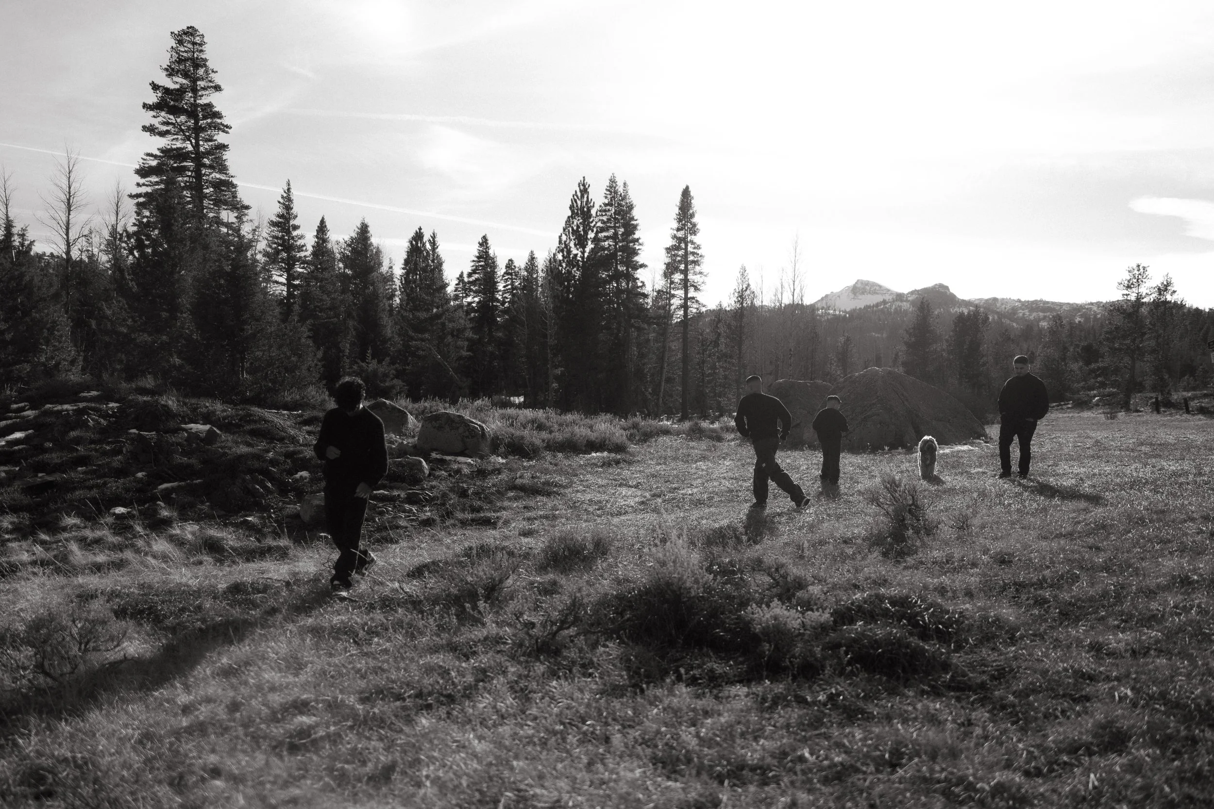 Initial Consultation Package