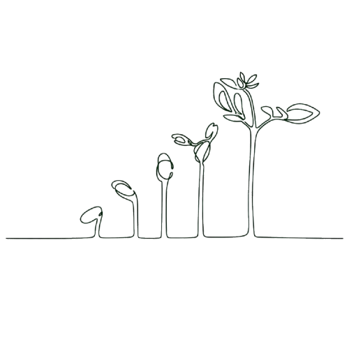 The Role of Operations in Supporting Sustainable Business Growth