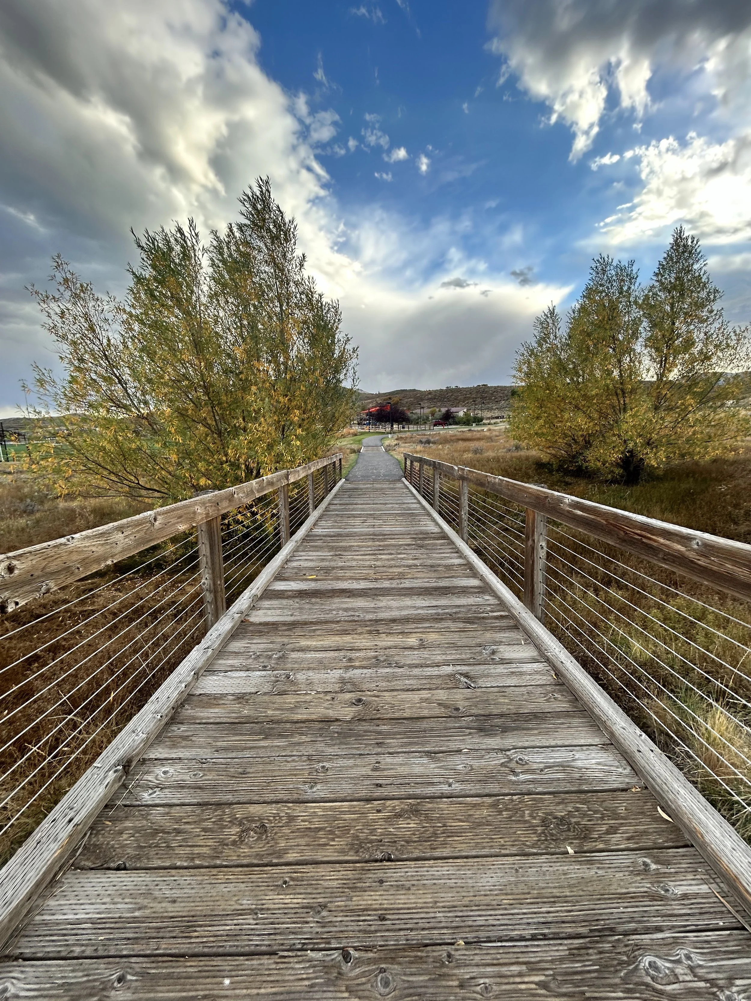 Wooden walkway with wire railings leading through a grassy landscape with trees, under a partly cloudy sky.