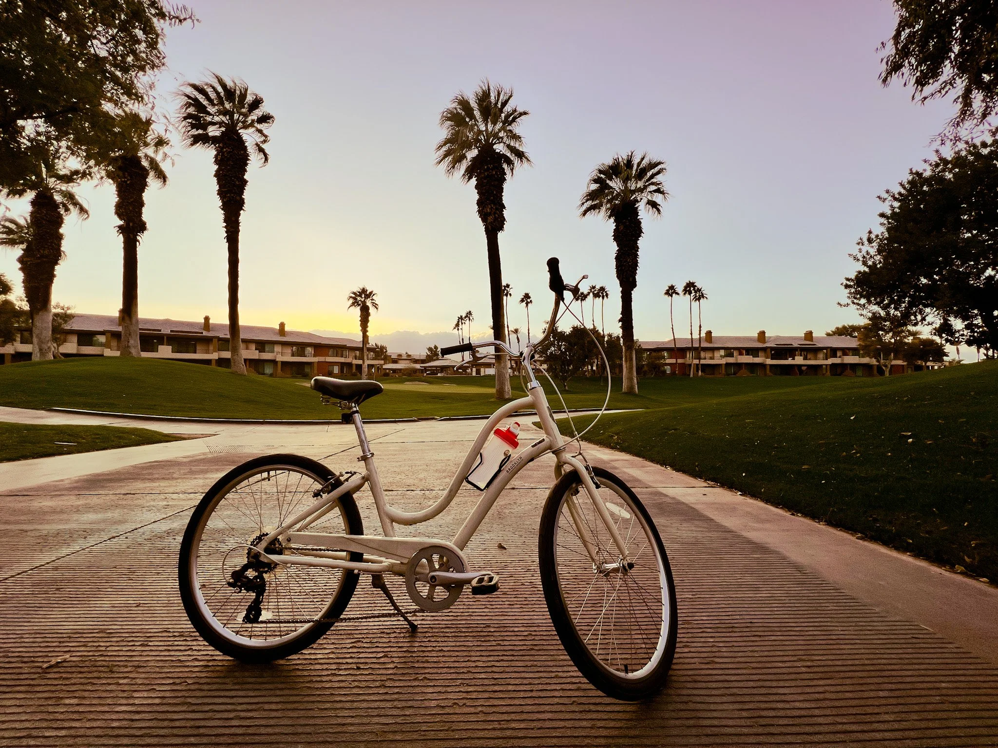 A white bicycle parked on a paved path in a park with palm trees and residential buildings in the background during sunset.