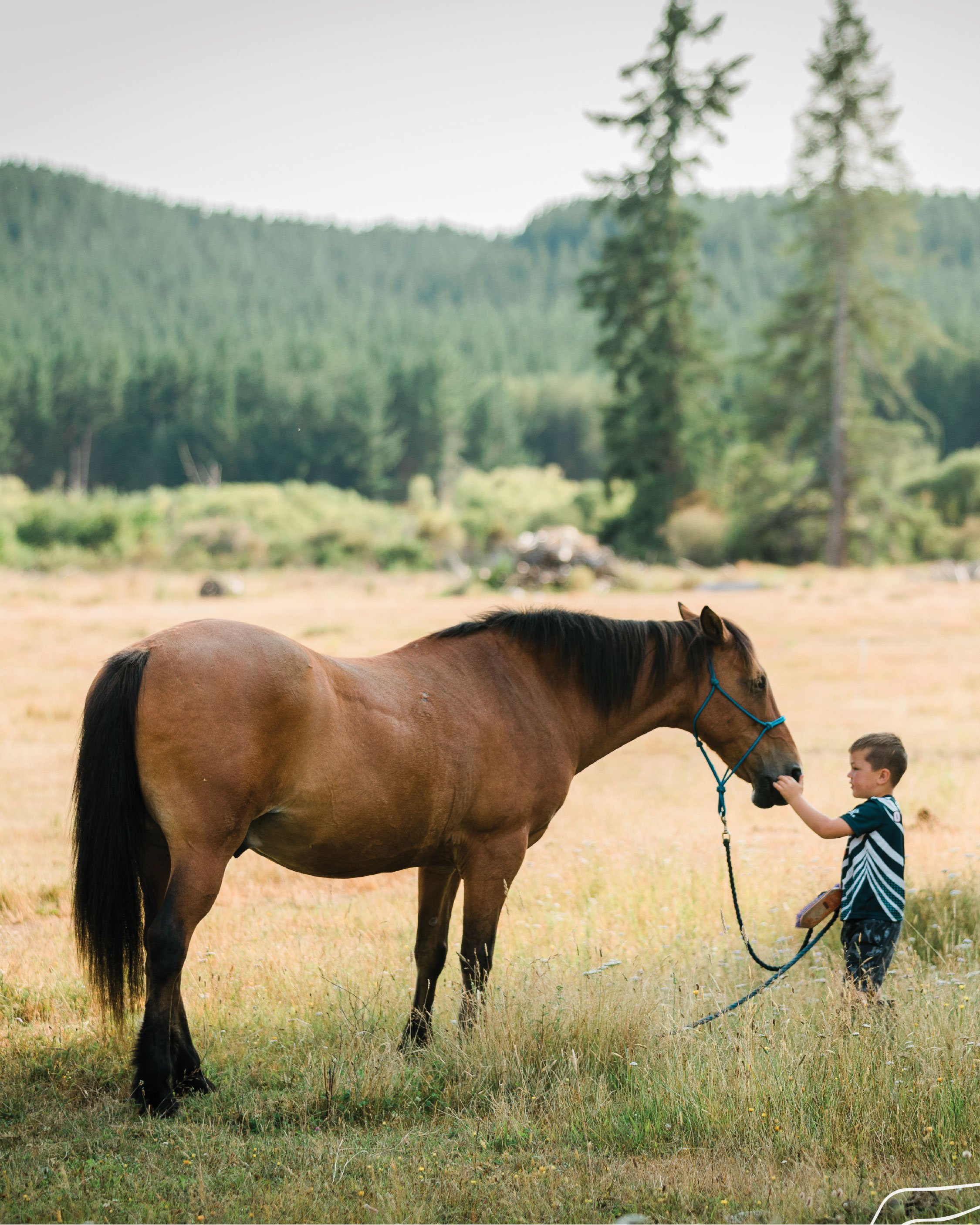 A person holding an open topographic map outdoors, with a landscape background.
