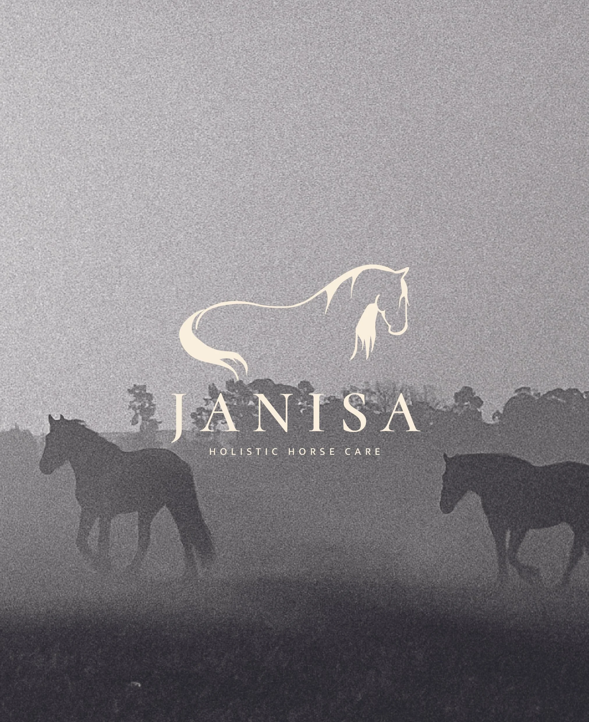 Logo for Janisa Holistic Horse Care featuring a horse outline above the company name and background with silhouette of three horses in a misty landscape.