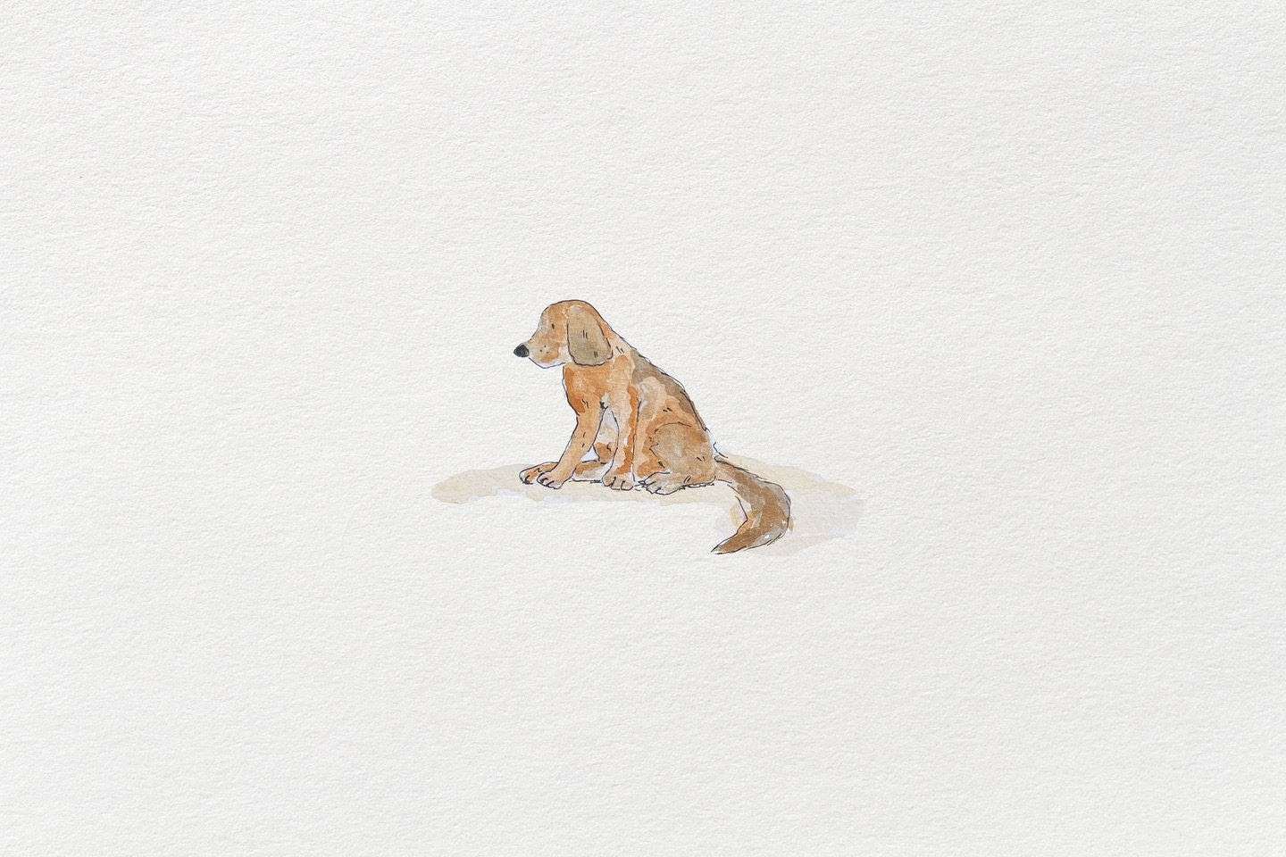 Watercolor illustration of a sitting brown dog with a long tail on a plain background.