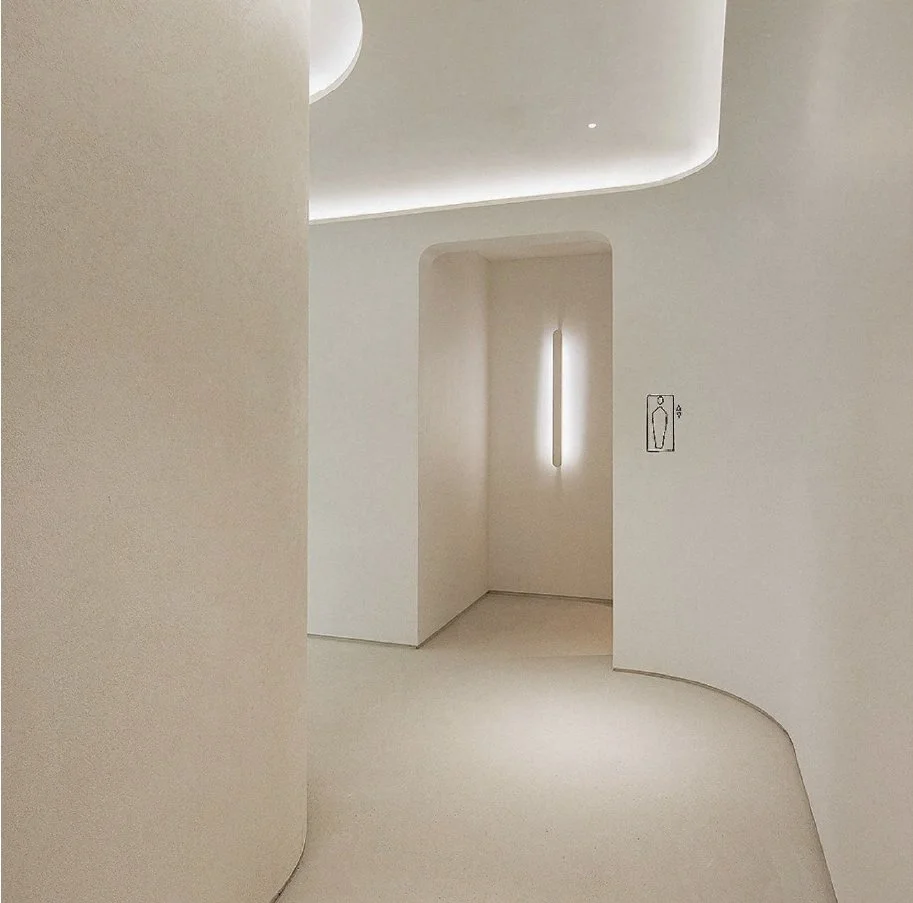 Minimalist interior space with curved white walls, a narrow vertical light fixture on the wall, and architectural signage indicating an elevator.