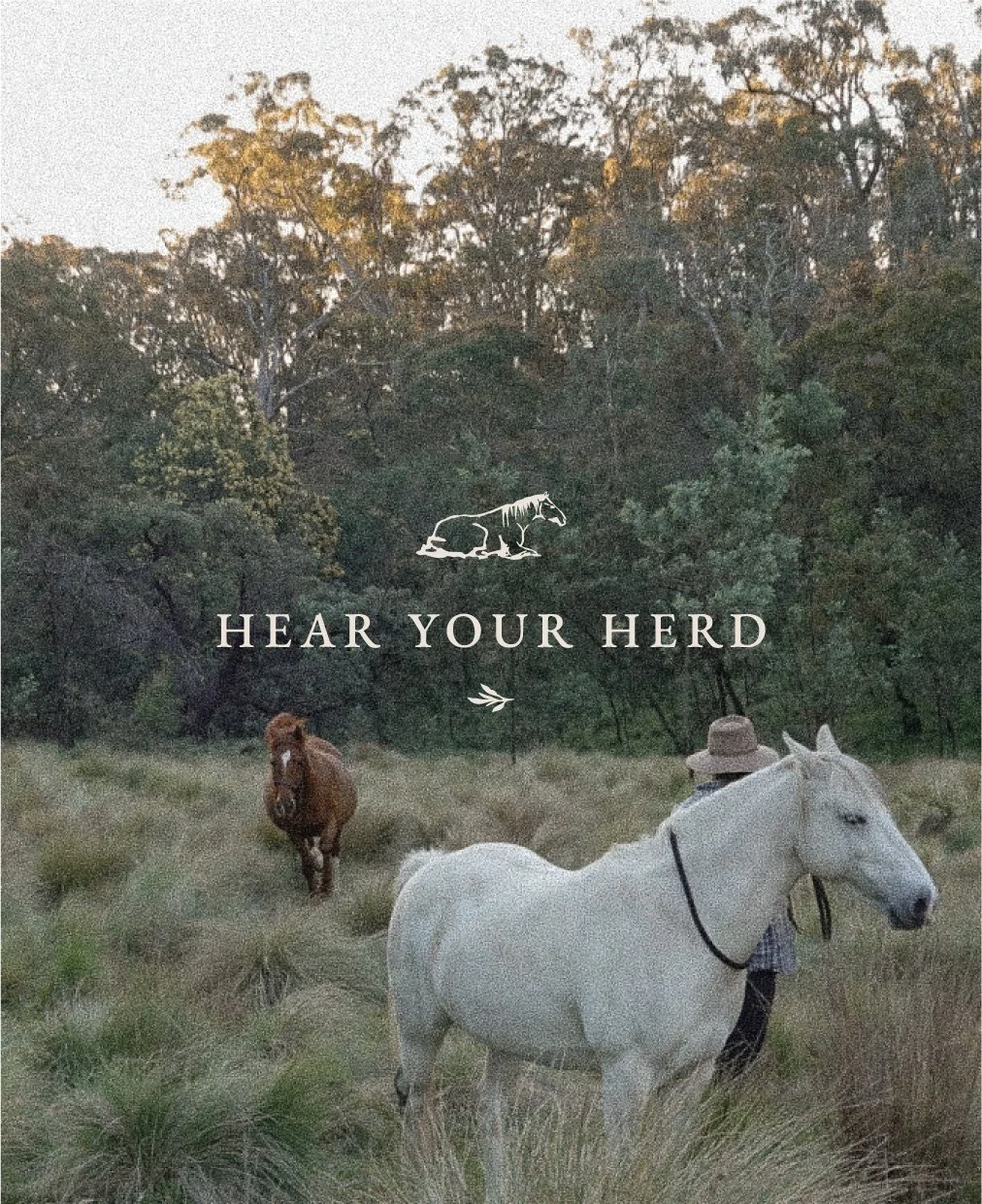A person with a hat on a white horse in a grassy field with trees in the background, and a brown horse approaching behind. Text overlay says, 'Hear Your Herd' with a line drawing of a herd of animals above.