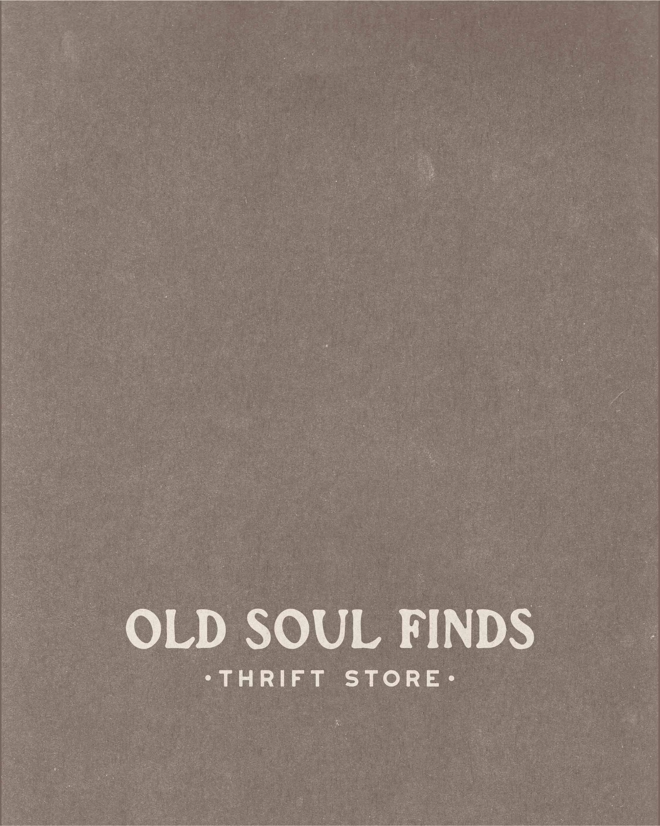 Cover of a book or catalog titled 'Old Soul Finds Thrift Store' with a plain, textured brown background and white text.
