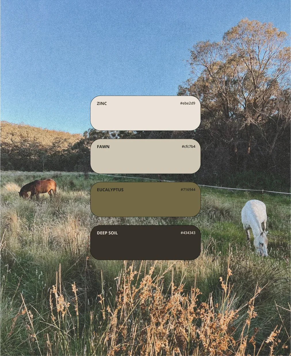 Two horses grazing in a grassy field with trees and a clear blue sky in the background, overlaid with color palette swatches labeled ZINC, FAWN, EUCALYPTUS, and DEEP SOIL.