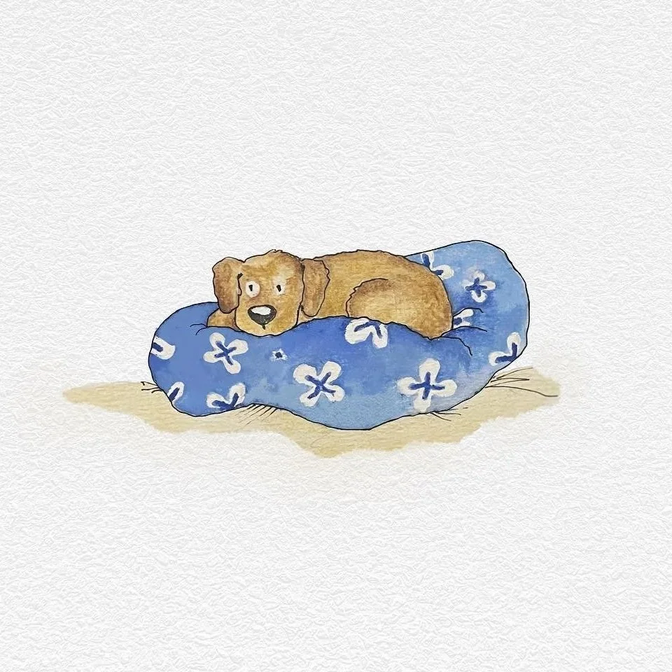 A brown dog lying on a blue cushion with white floral patterns on a beige floor.
