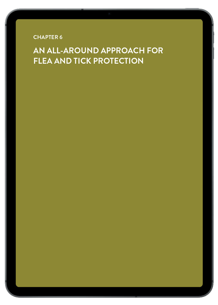 E-book or digital reading device displaying the title 'Chapter 6: An All-Around Approach for Flea and Tick Protection' on a green background.