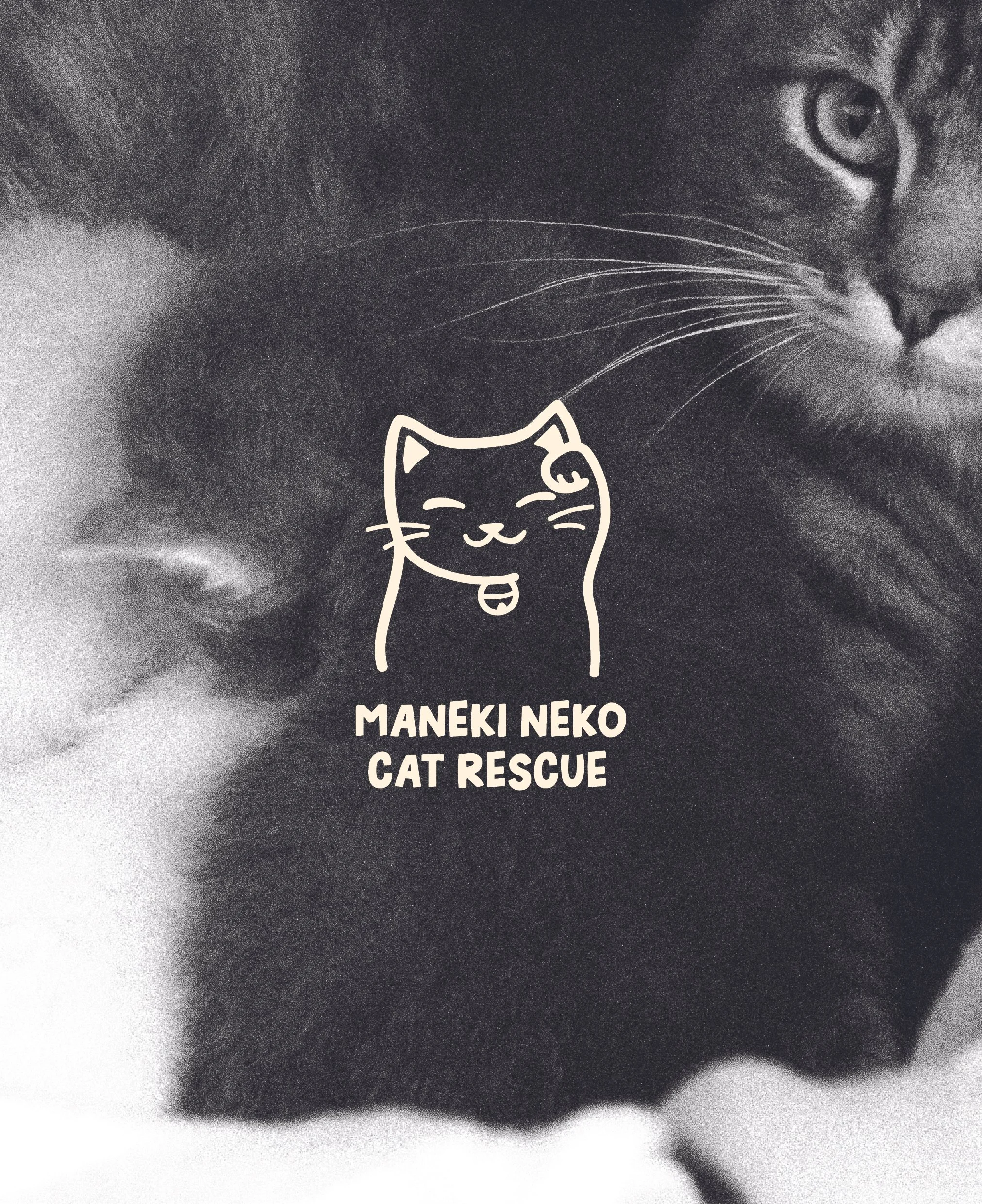 Close-up of a black and white cat with a graphic logo of a smiling cat and the text 'MANEKI NEKO CAT RESCUE' beneath it.