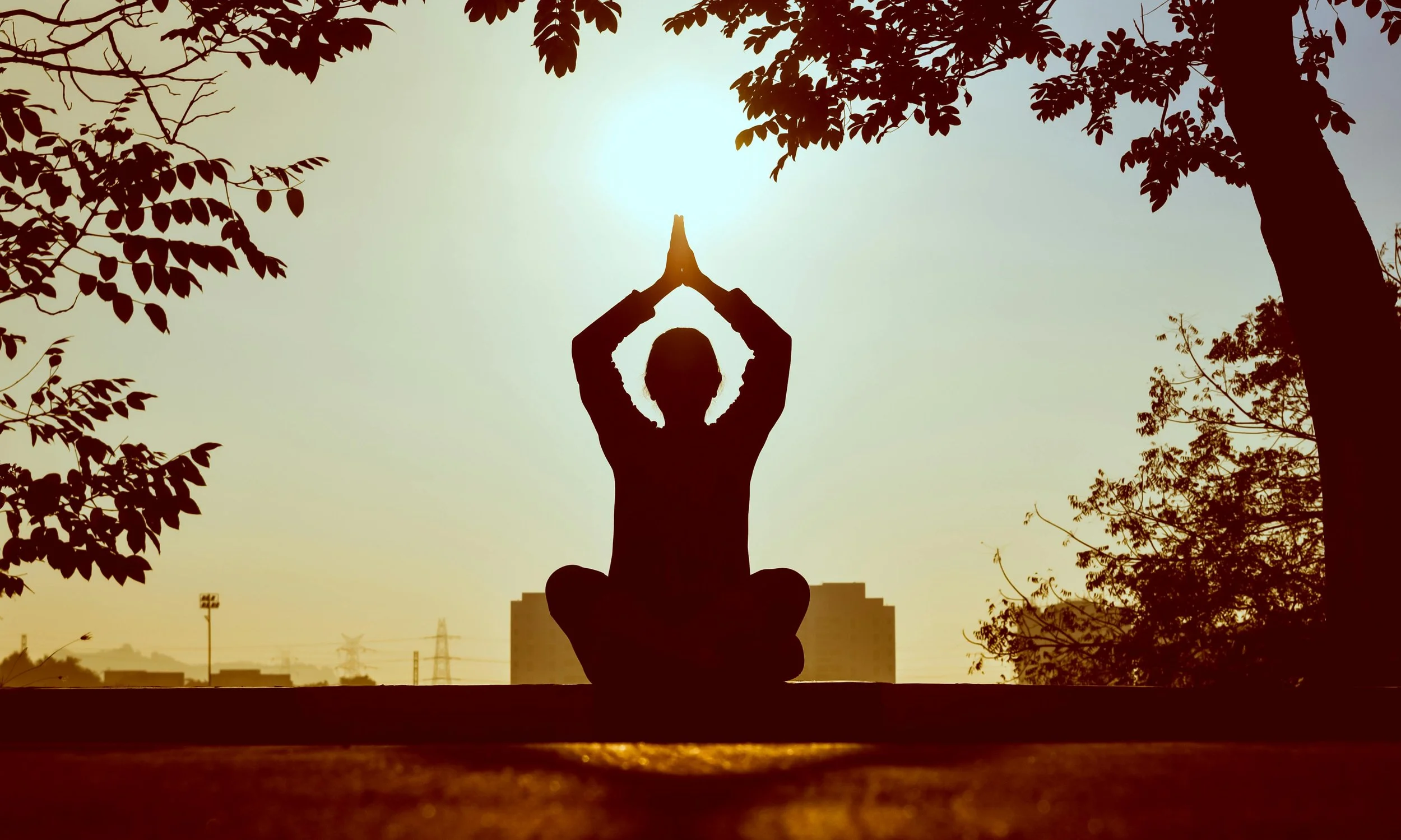 Angelica, Básica en Español Yoga