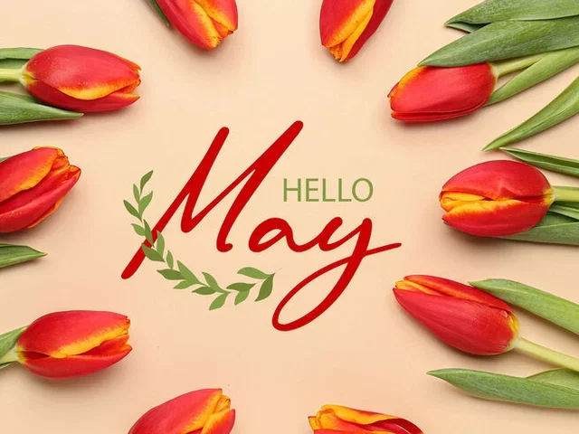 TOP PICKS FOR MAY