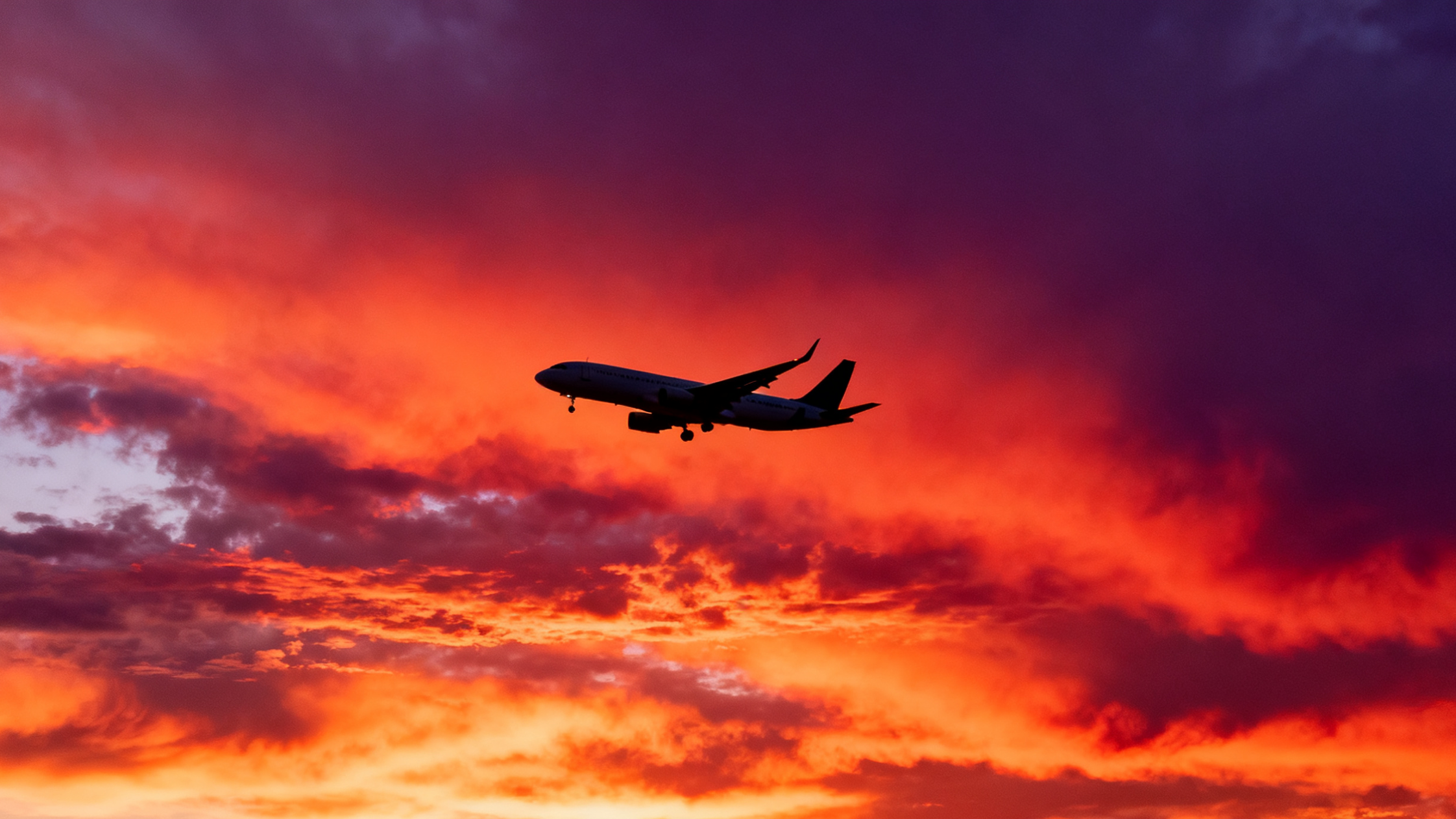 FAA学员飞行员 + FAA教员