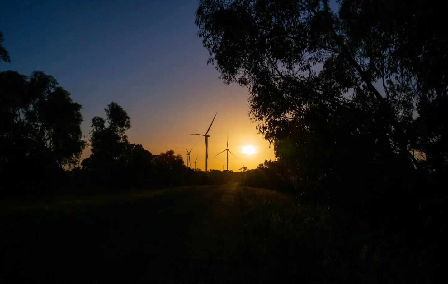 A major milestone for St Patricks Plains Wind Farm.

We&rsquo;re delighted to share that the project has now received its Commonwealth approval under the Environment Protection and Biodiversity Conservation (EPBC) Act. Having secured state approval l