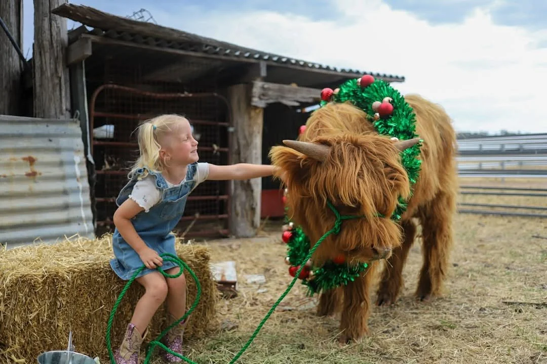 image-1863539657622209 (1).jpg