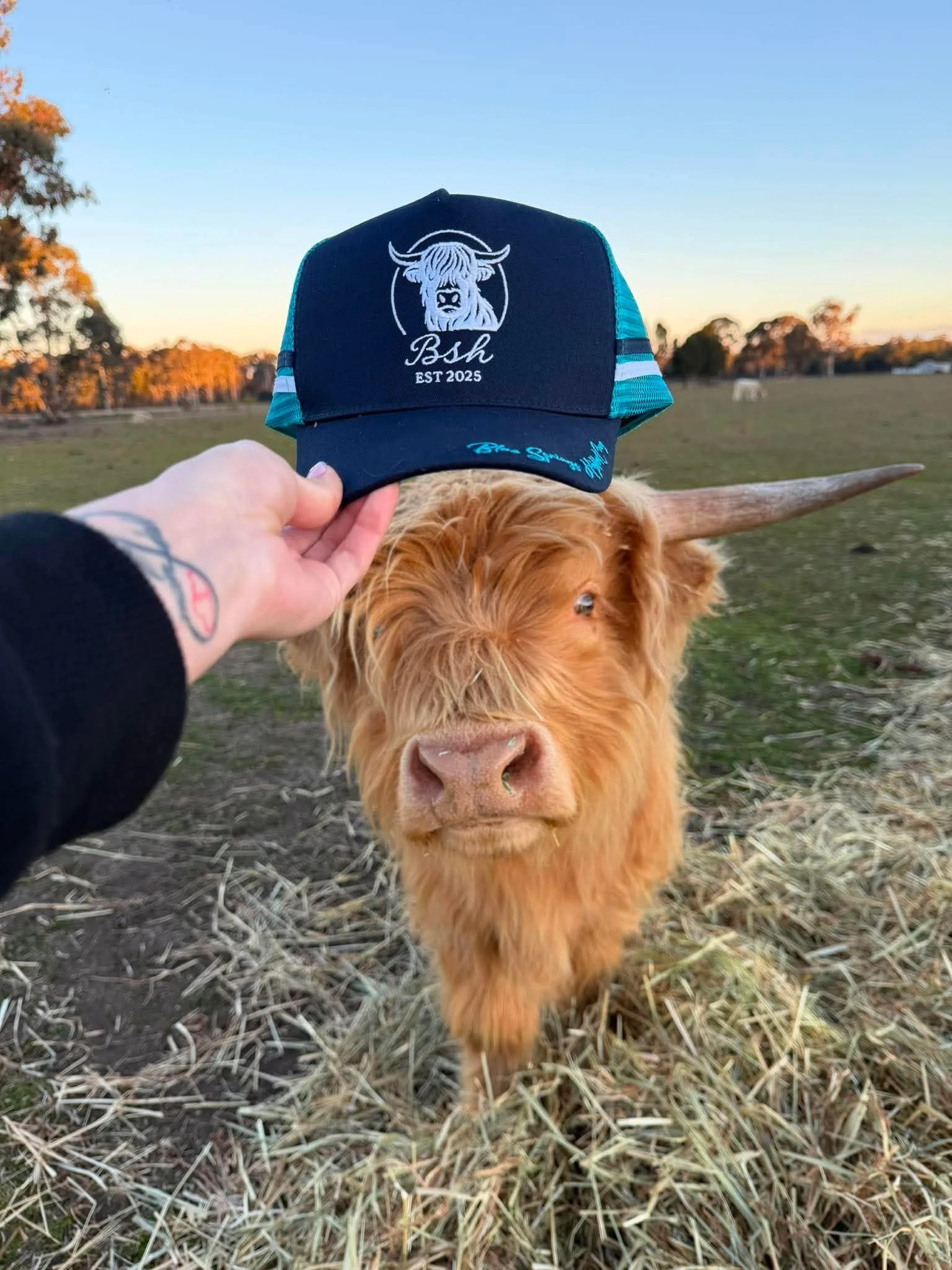navy trucker.jpg