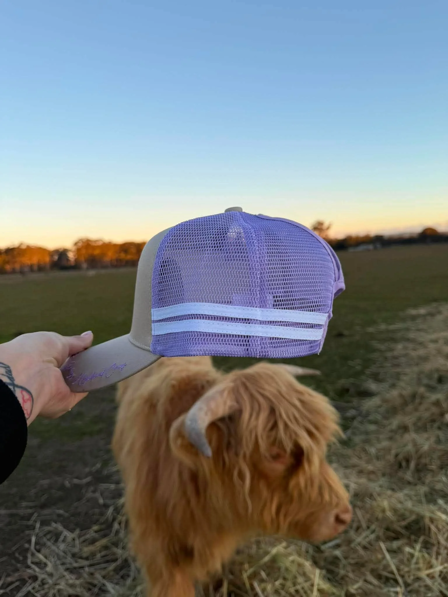 purple trucker.jpg