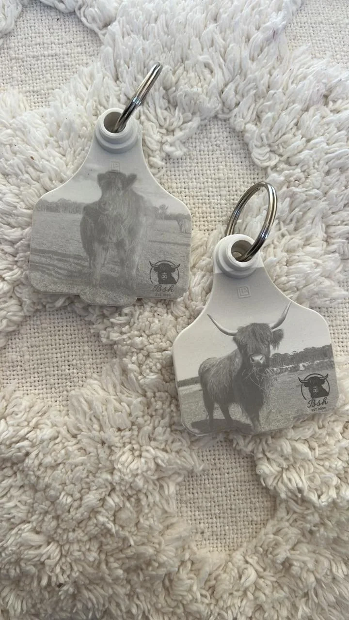 keyrings.jpg